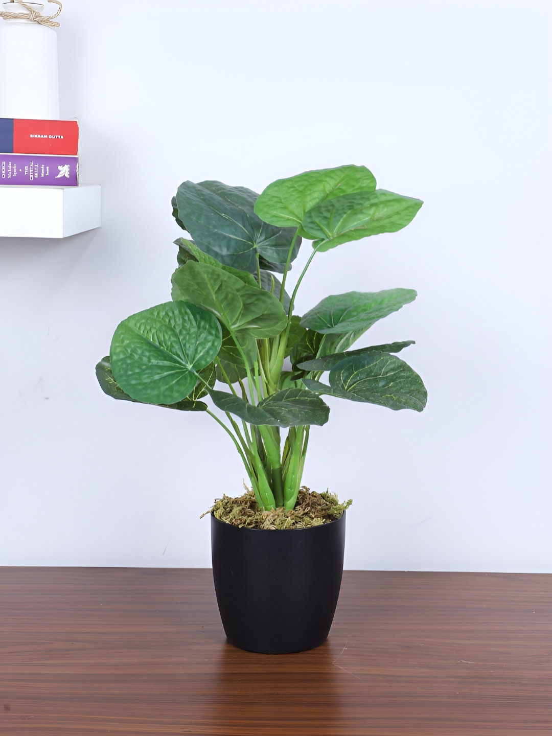 ARICK DECOR Green & Black Money Artificial Plant With Pot
