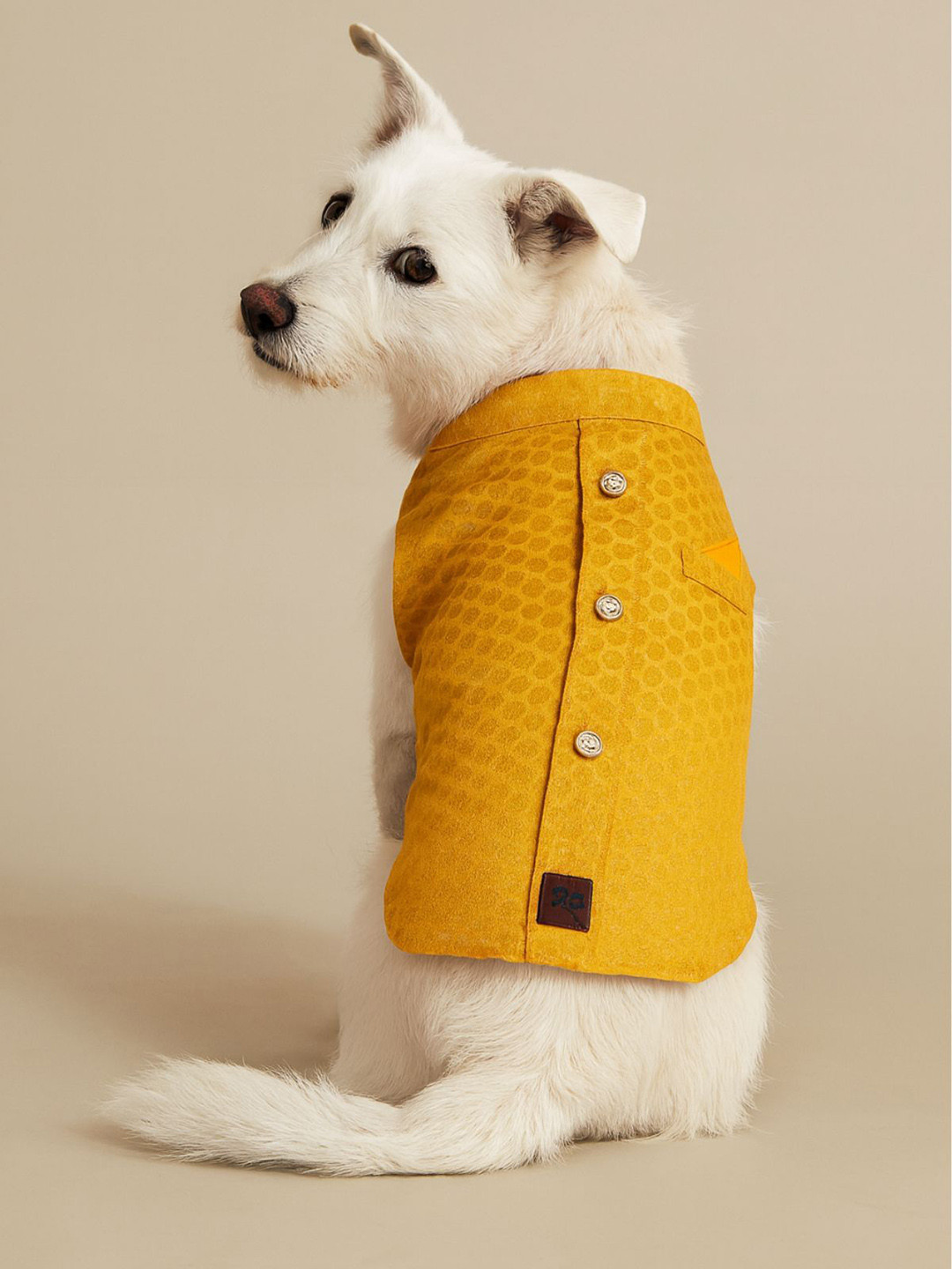 LANA PAWS Dog Sherwani