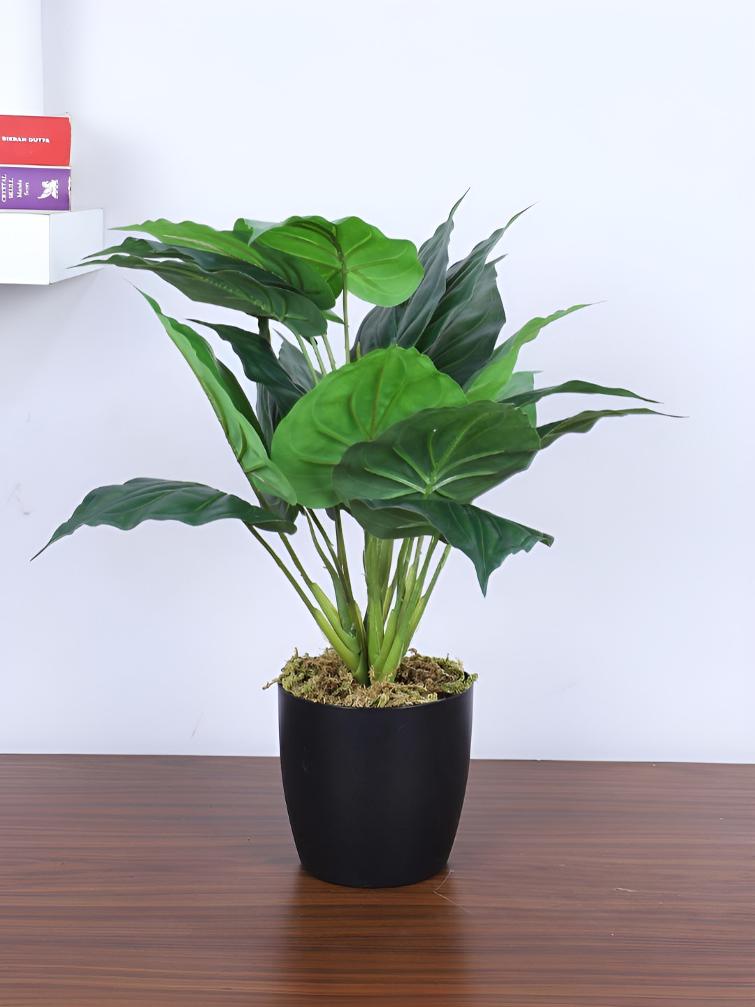 ARICK DECOR Green & Black Money Artificial Plant With Pot