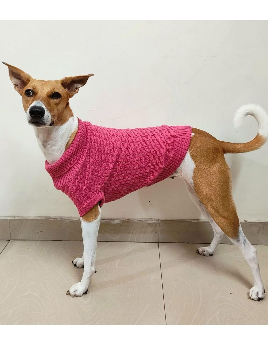 Lulala Self-Design Dogs & Cats Sweater