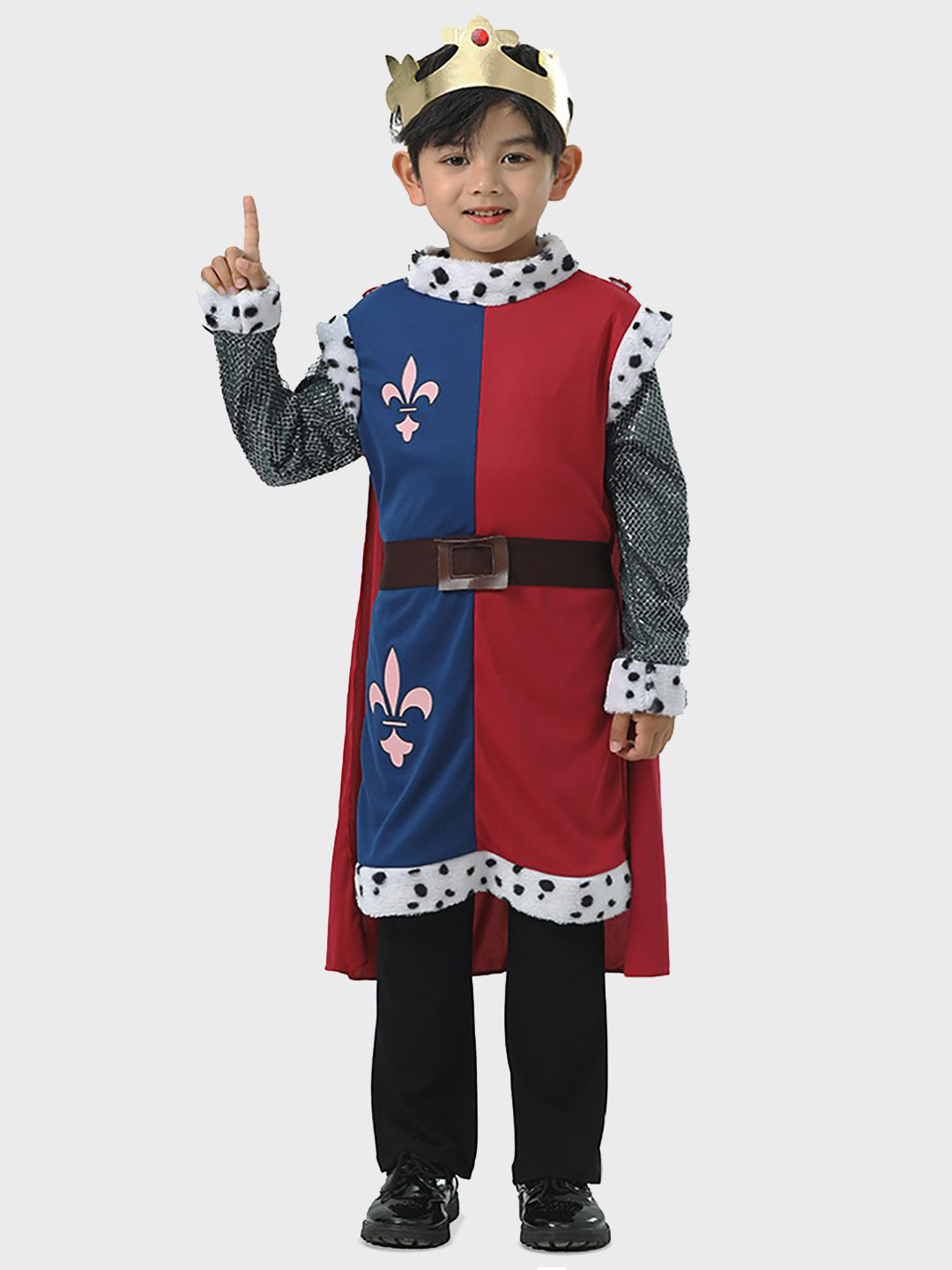 Little Surprise Box LLP Kids Medieval King Halloween Costume Fancy Dress