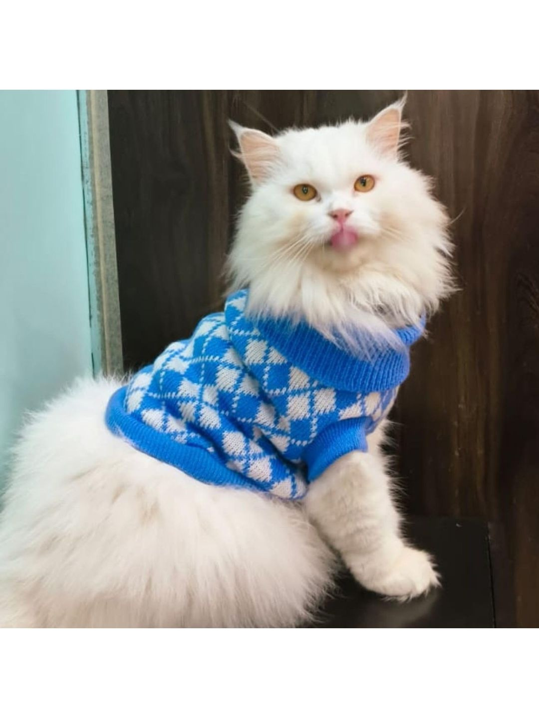 Lulala Geometric Printed Dogs & Cats Sweater