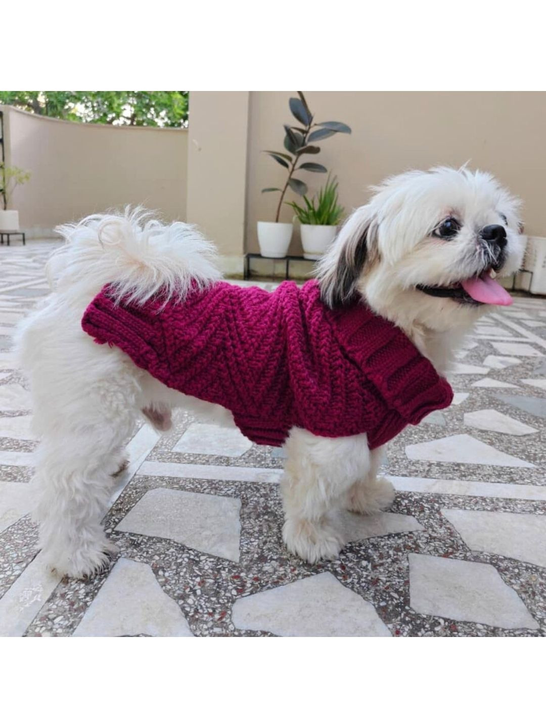 Lulala Self-Design Dogs & Cats Sweater