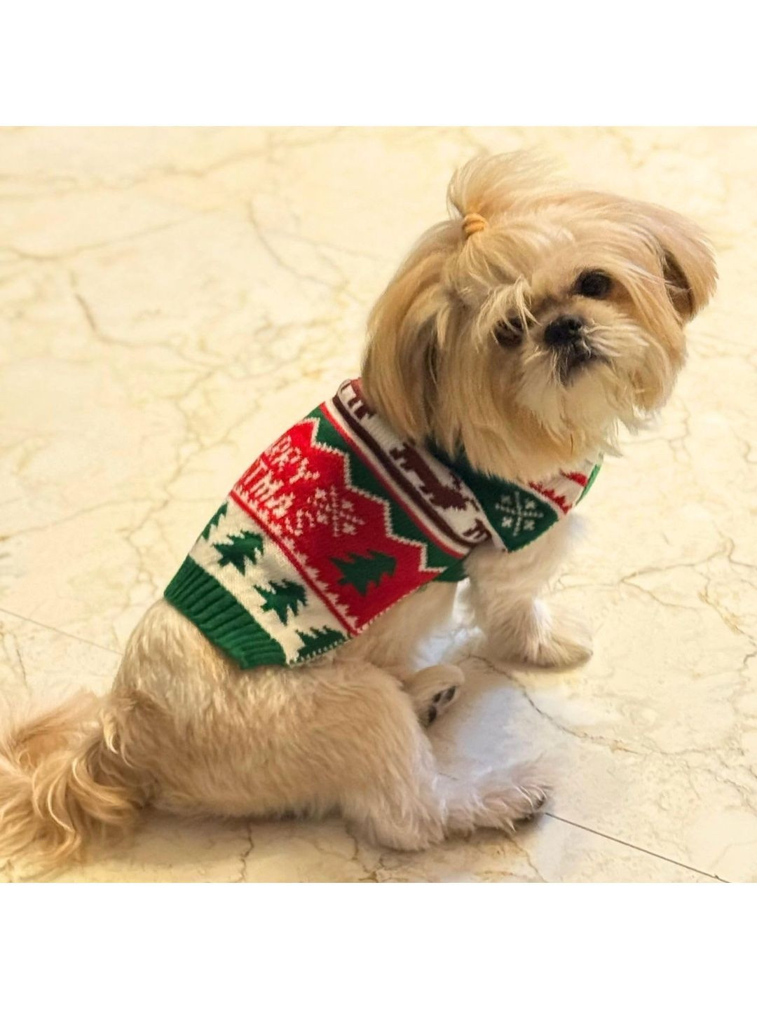 Lulala Printed Dogs & Cats Sweater