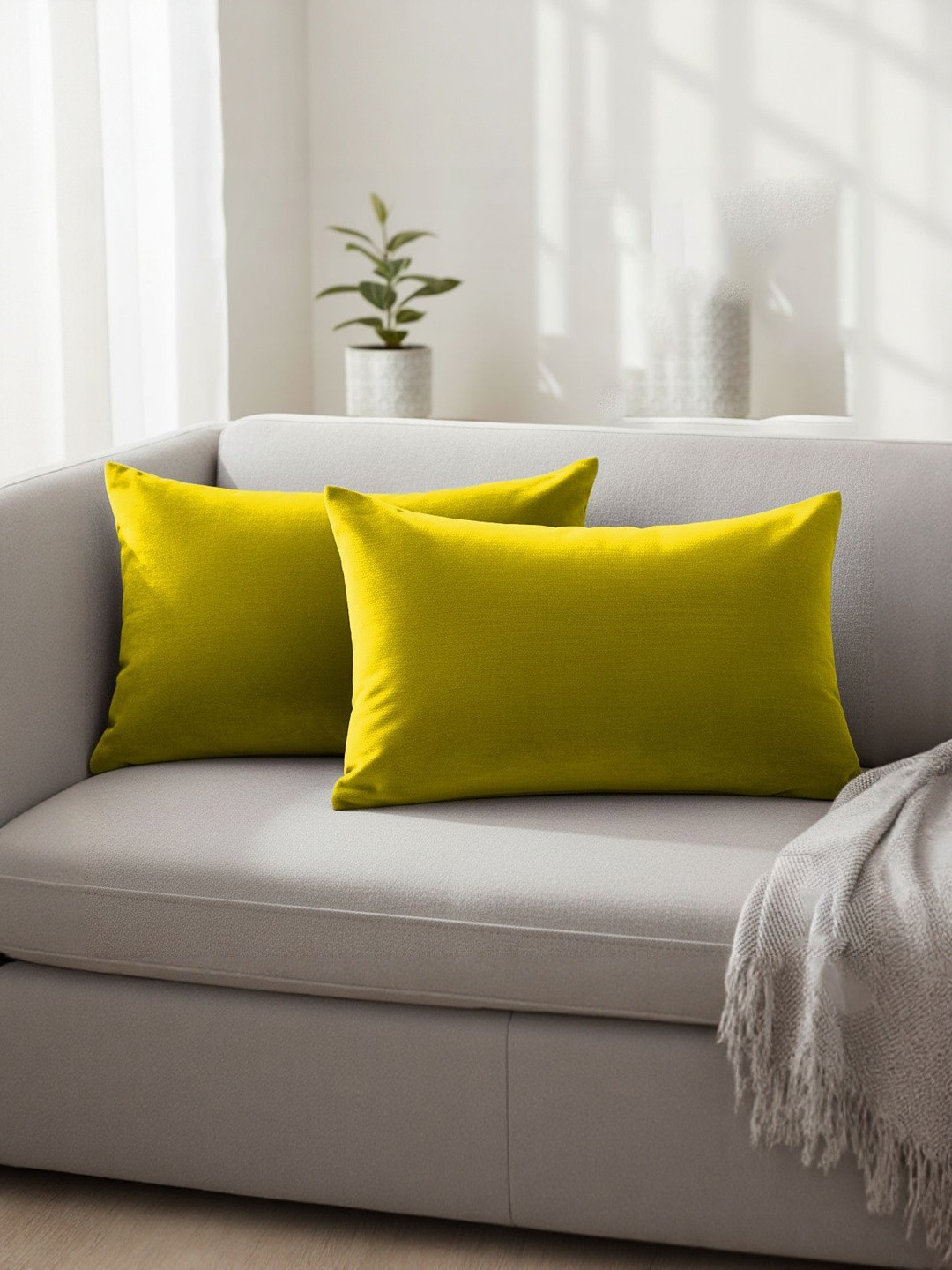 DADDY COOL Gold-Toned 2 Pieces Velvet Rectangle Pillow Covers