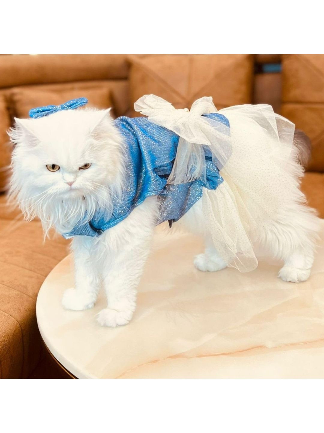 Lulala Glitter Party Gown Dog & Cat Dress With Tulle Skirt Bow & Headband