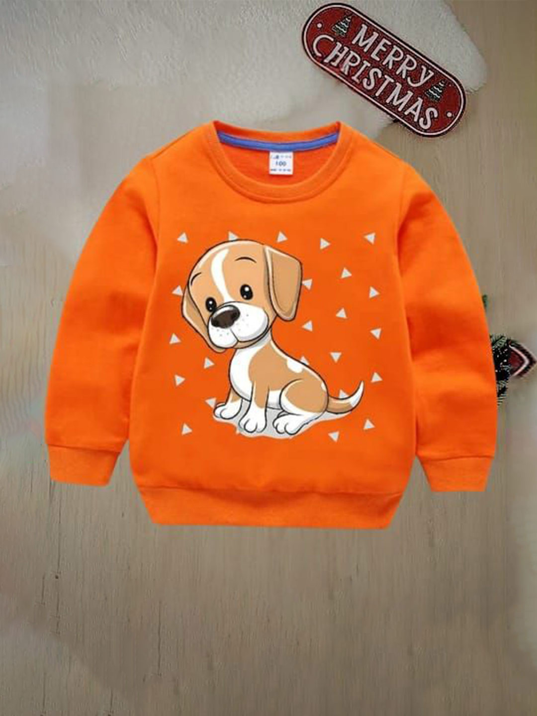 COSTHEETA Kids Graphic Printed Round Neck Long Sleeeves Sweatshirt