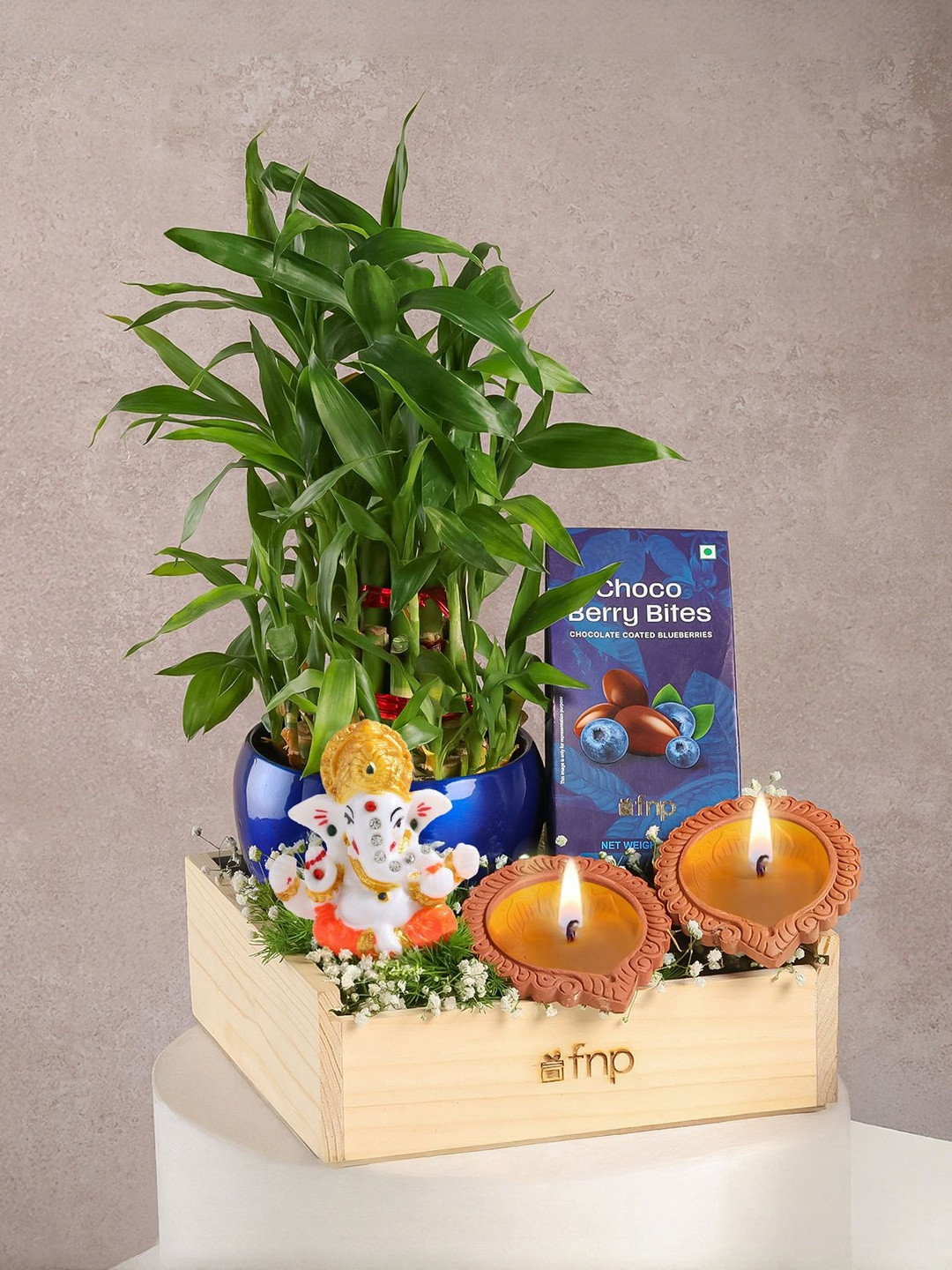 fnp 6-Pcs Choco Berries Bites Chocolate Gifts With Live Plants Ganesha & Diyas