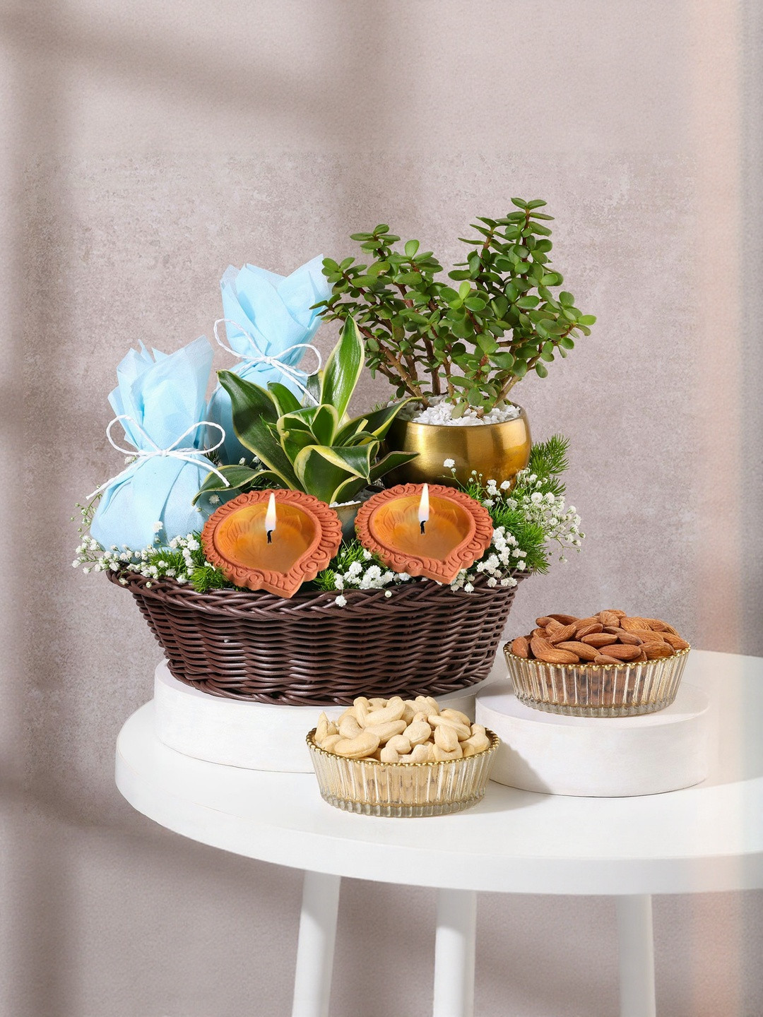 fnp Set Of 6 Nuts Seeds & Dried Fruits With Live Plants & Diya