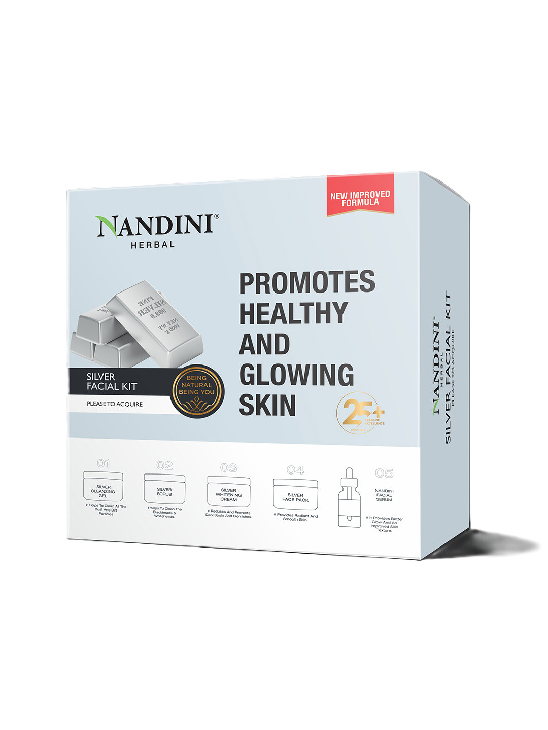 Nandini Herbal Silver Facial Kit 210 g