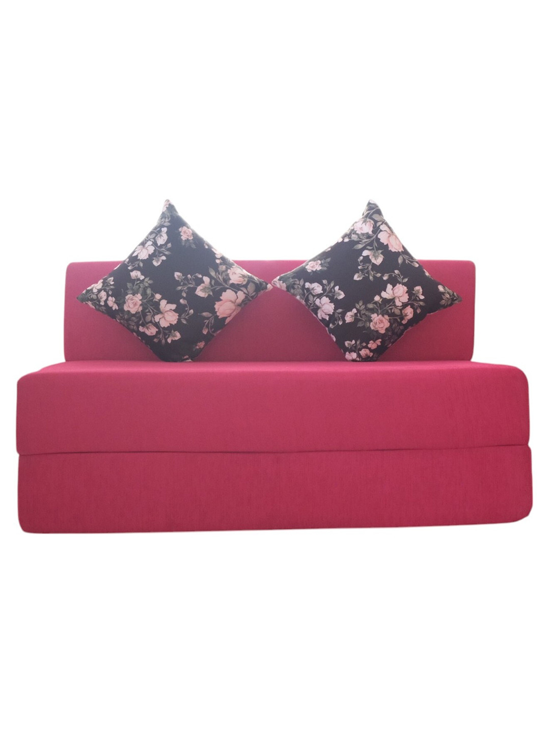 FRIENDS LIFE  2 Seater Fold Out Sofa Cum Bed With Pillows