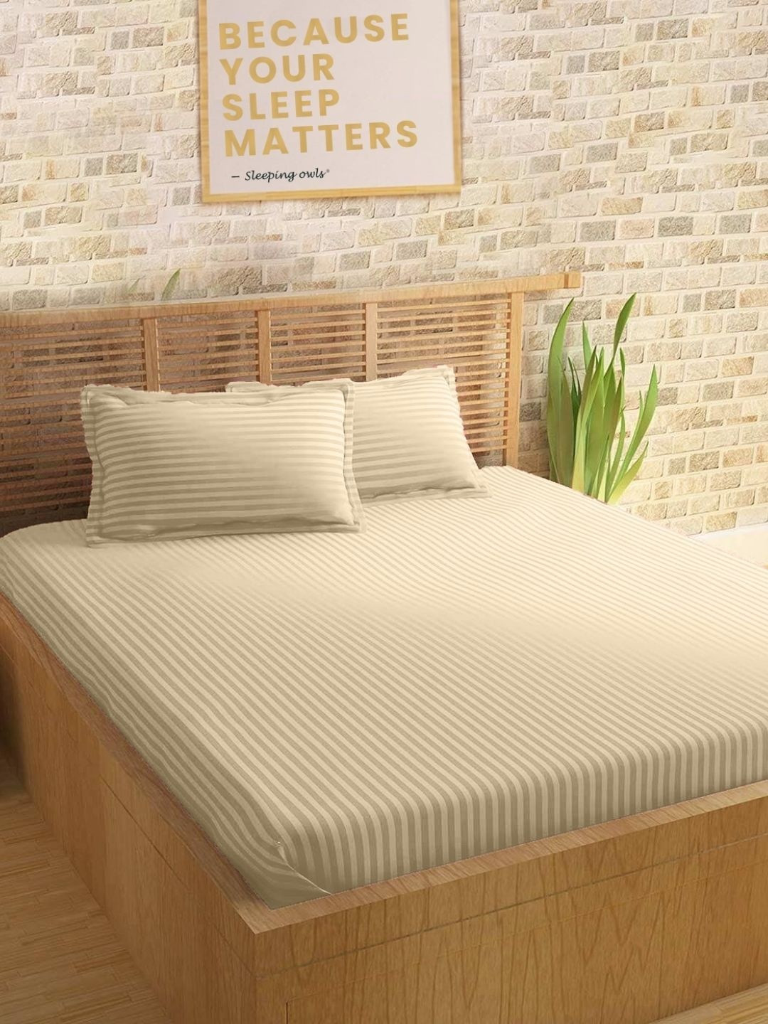 Sleeping Owls Colors-striped collection Unisex Striped King Bedsheet with 2 Pillow Covers