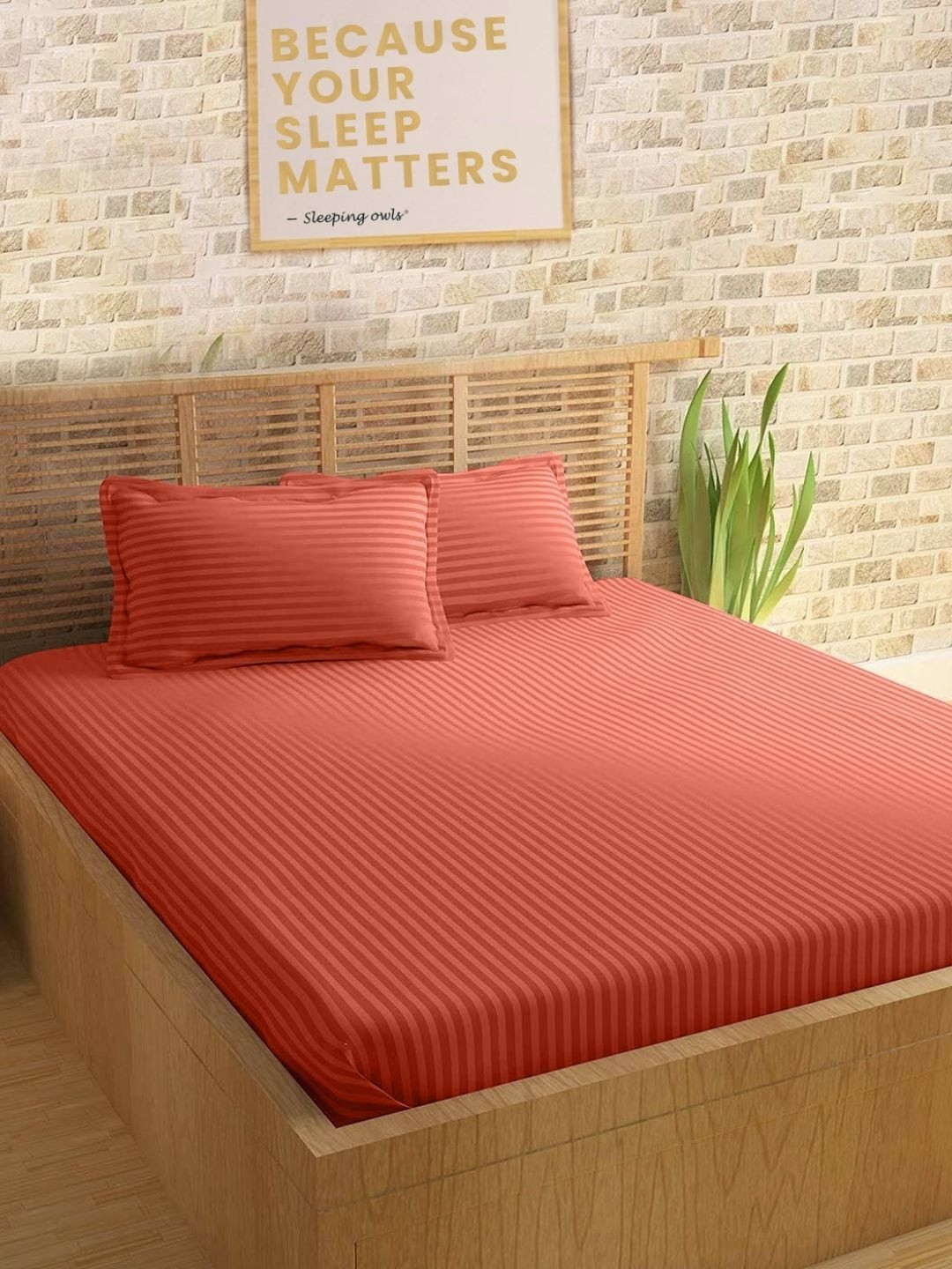 Sleeping Owls Rust Striped 210 TC King Bedsheet with 2 Pillow Covers
