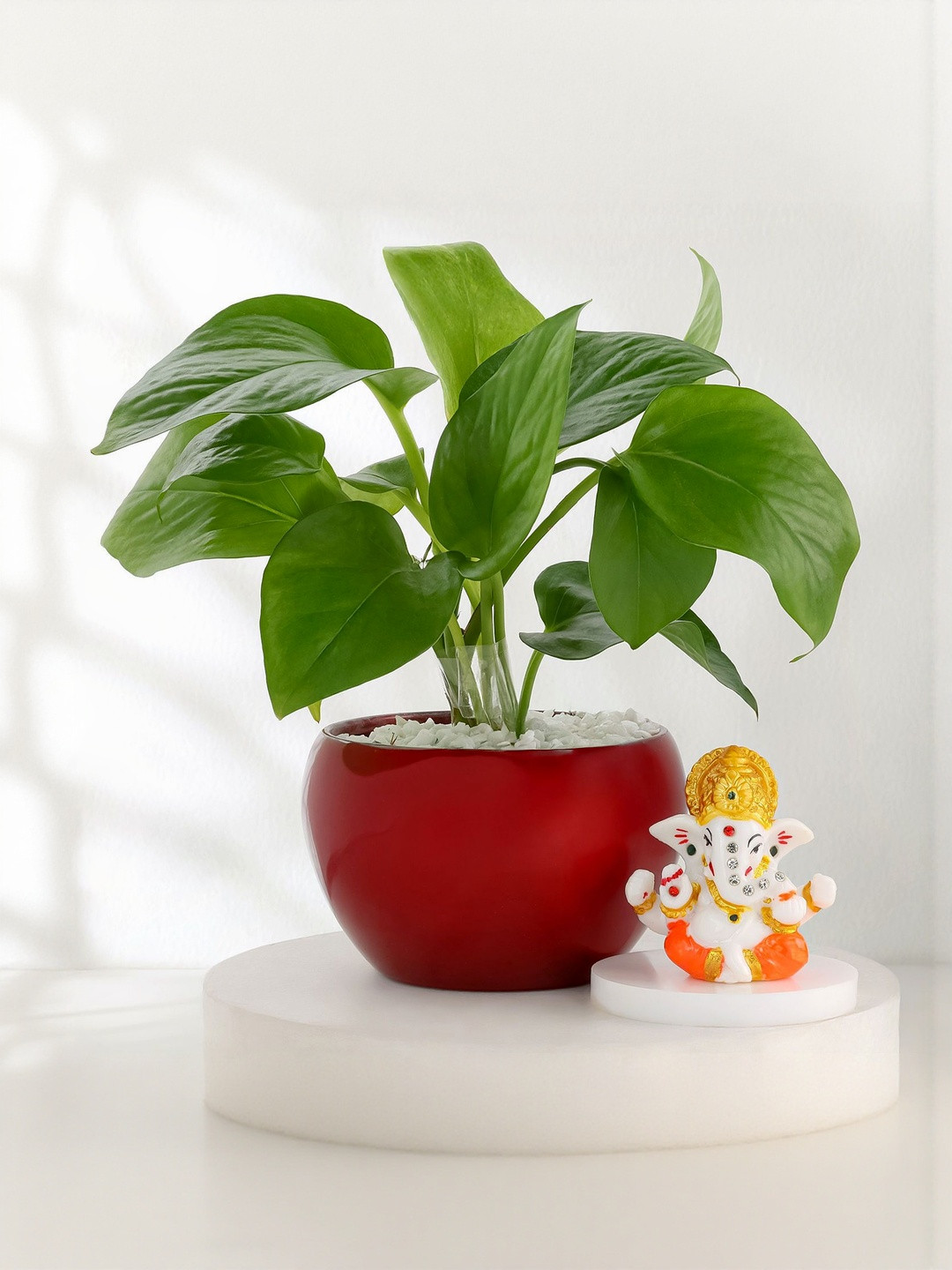 fnp 2-Pcs Diwali Home Gift Set For Family