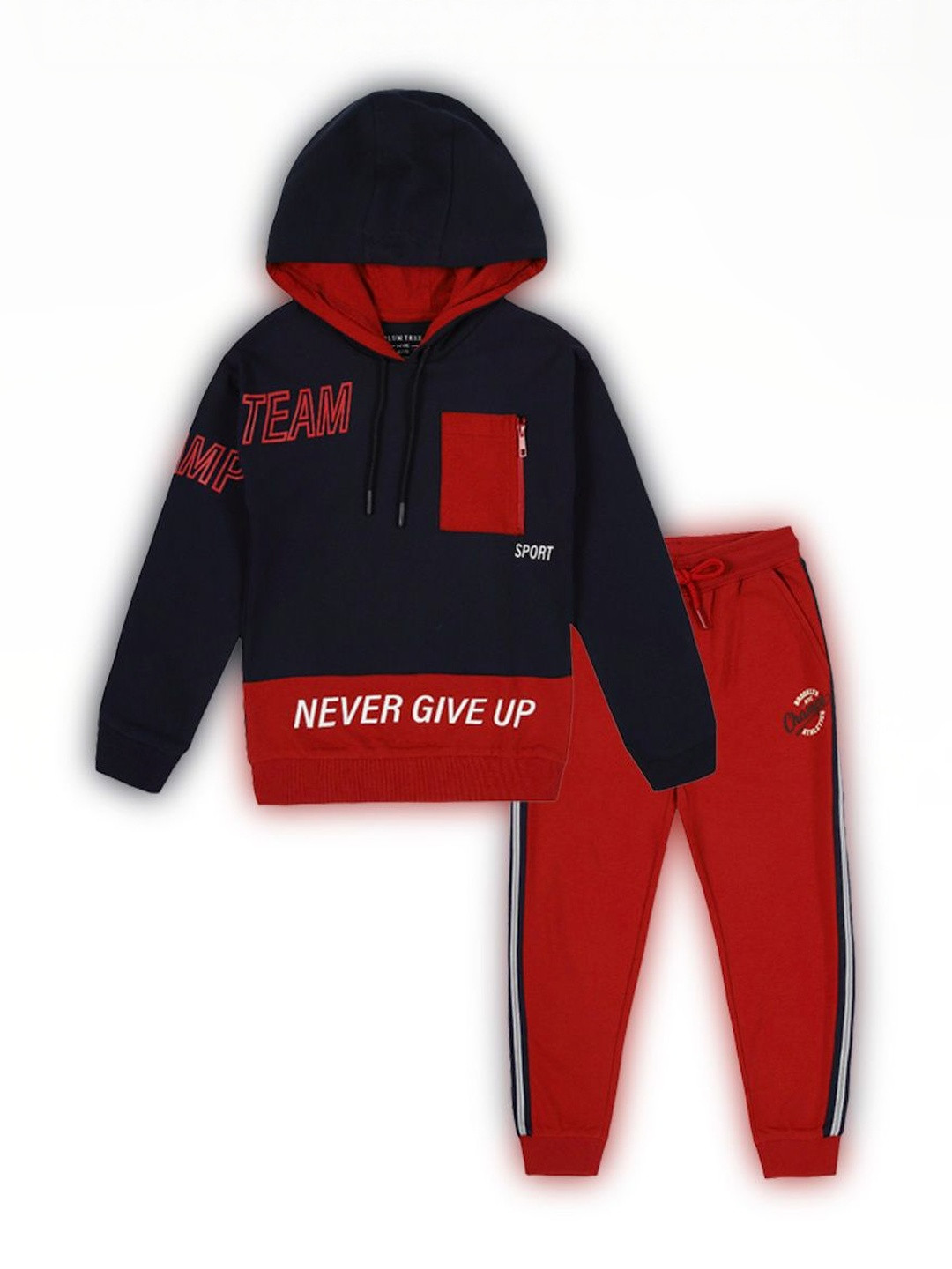 PLUM TREE Boys Raised Printed Hooded Sweatshirt And Jogger Set