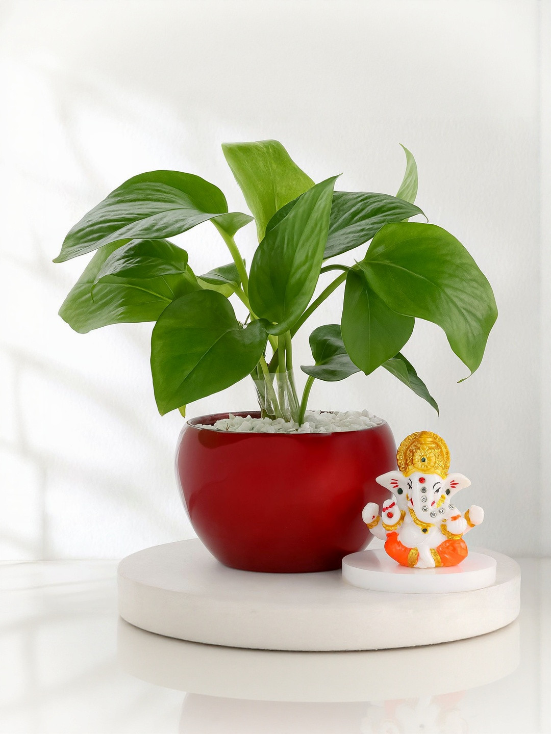 fnp 2-Pcs Diwali Home Gift Set For Family