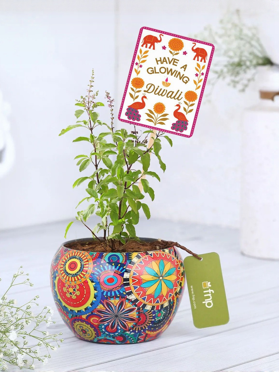 fnp Indoor Tulsi Live Plant With Pot