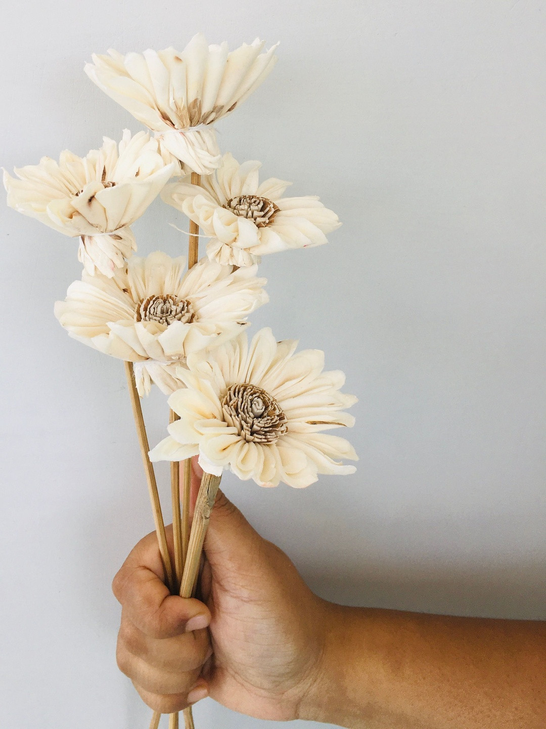 Vanchai White 5 Pieces Artificial Flower