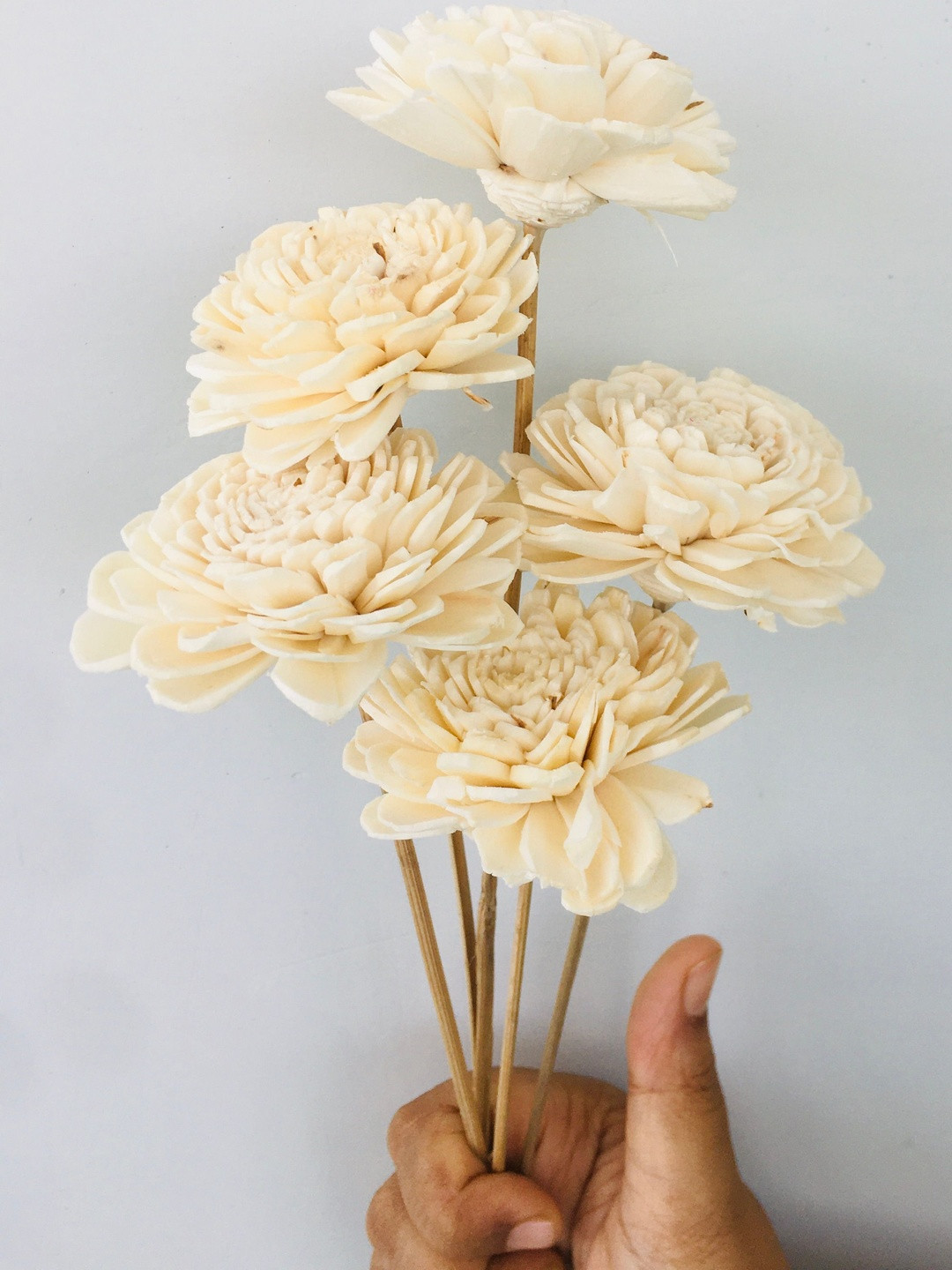 Vanchai White 5 Pieces Dried Artificial Flowers