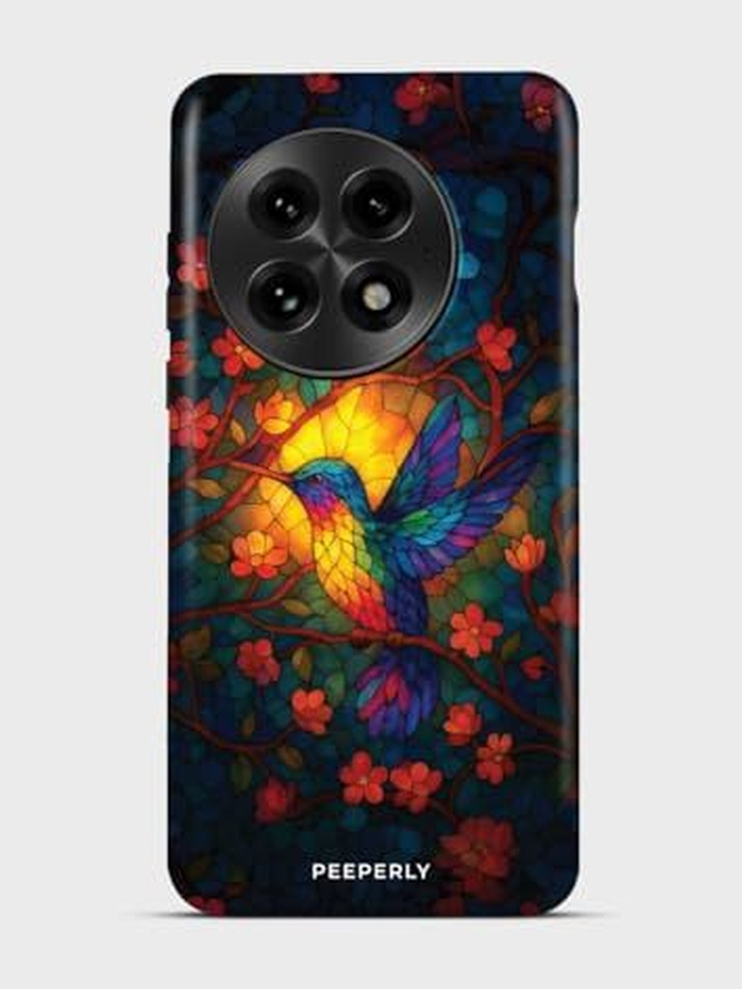 PEEPERLY Women Hummingbird Printed Impact Resistant OnePlus 11 5G Back Case