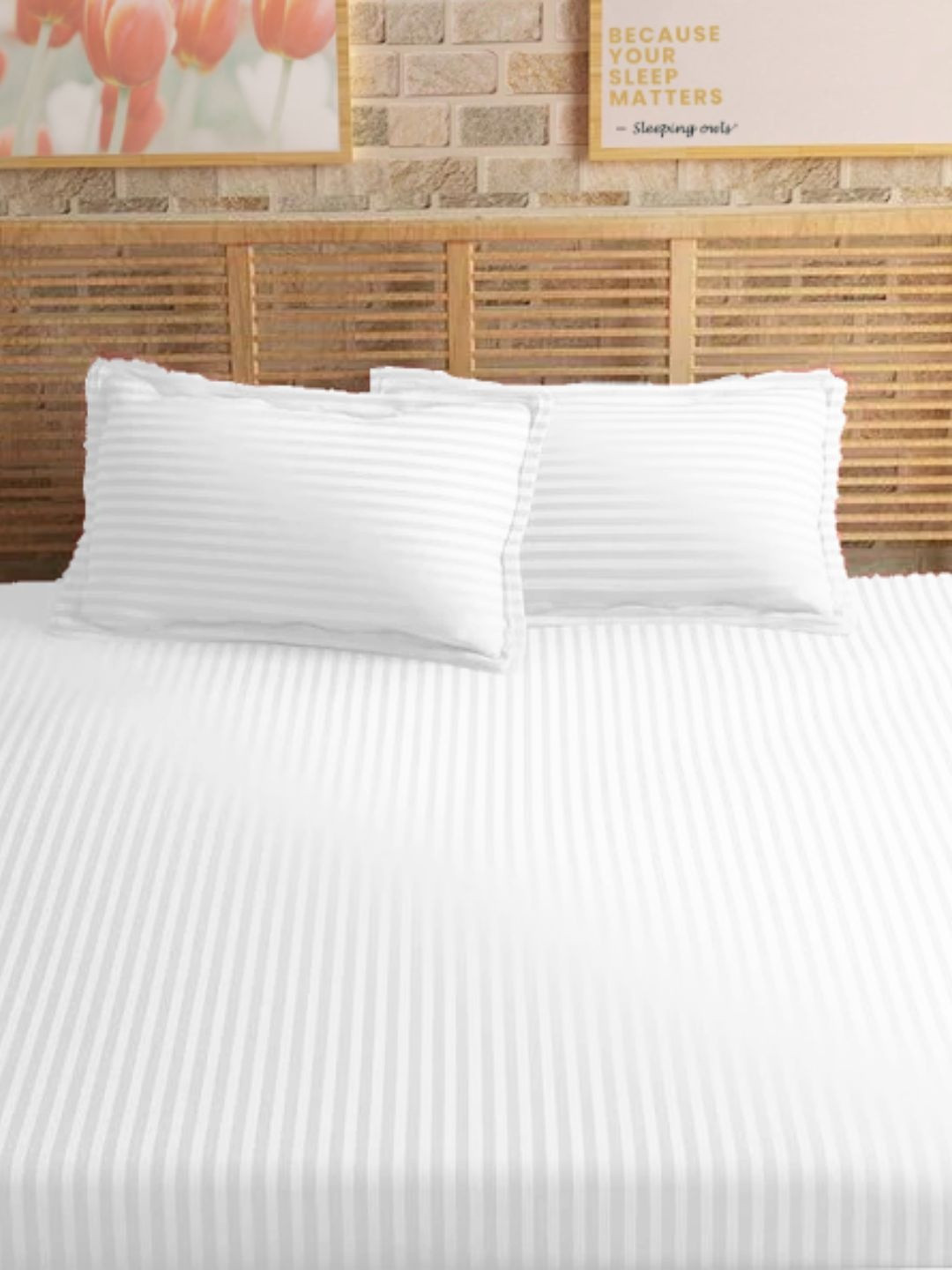 Sleeping Owls White Striped 210 TC Single Bedsheet with 2 Pillow Covers