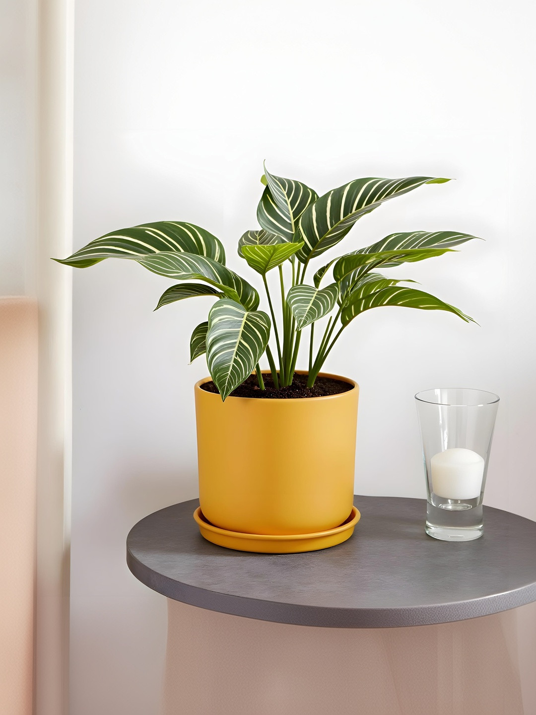 LASAKI Orin Yellow Ceramic Handmade Planter With Plate
