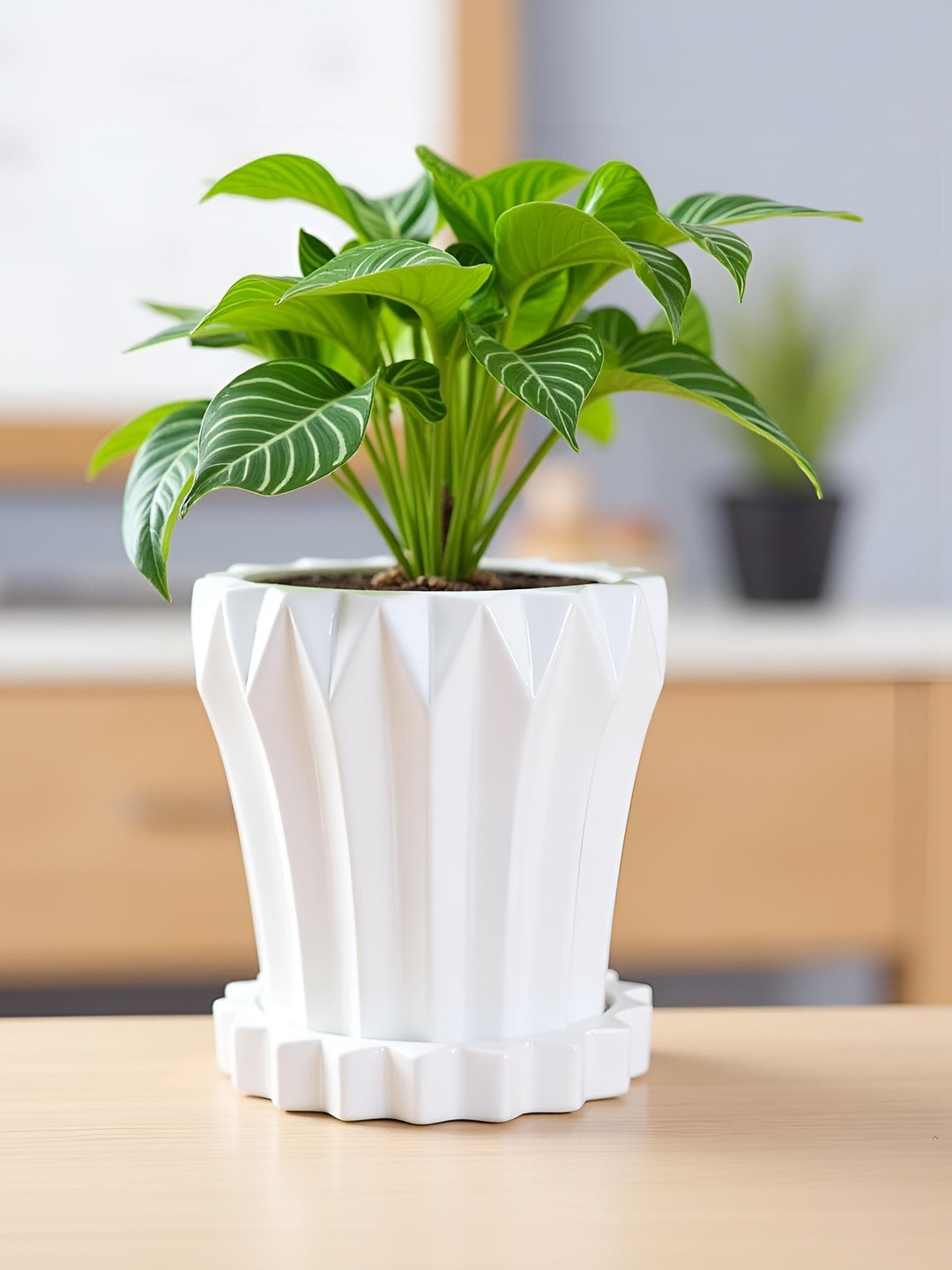 LASAKI Flory White Textured Ceramic Planter With Plate