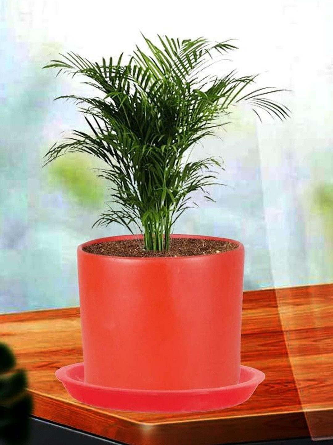LASAKI Red Ceramic Planter With Plate