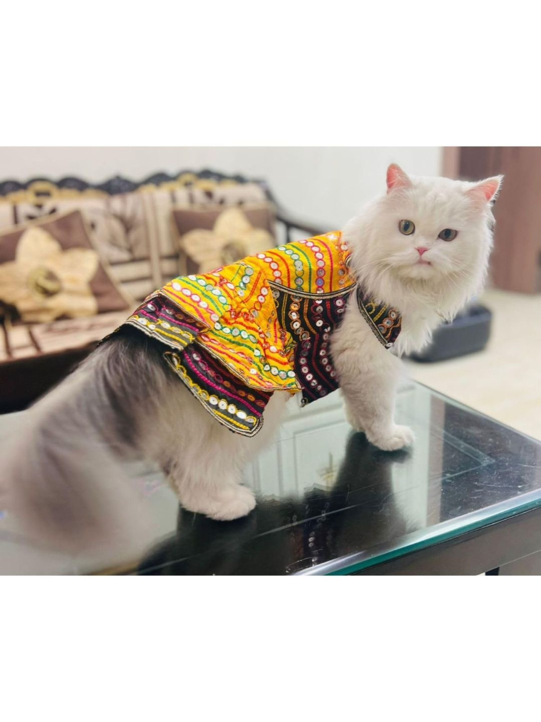 Lulala Self Design Dog Dress