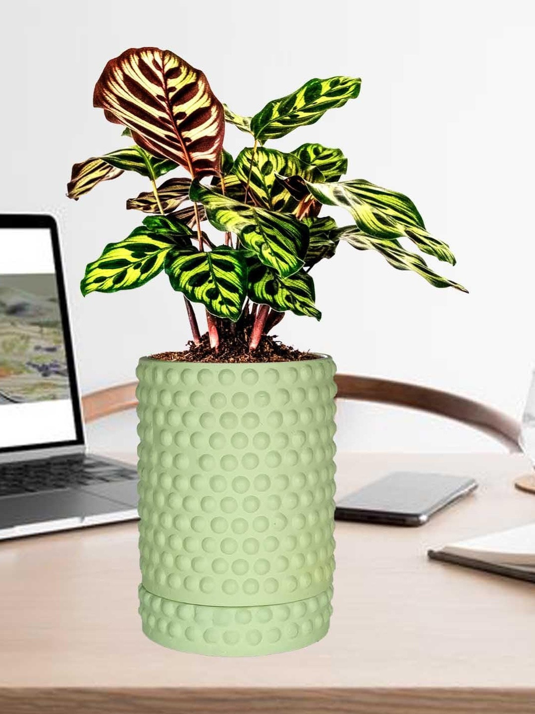 LASAKI Bubble Lime-Green Ceramic Handmade Planter With Plate