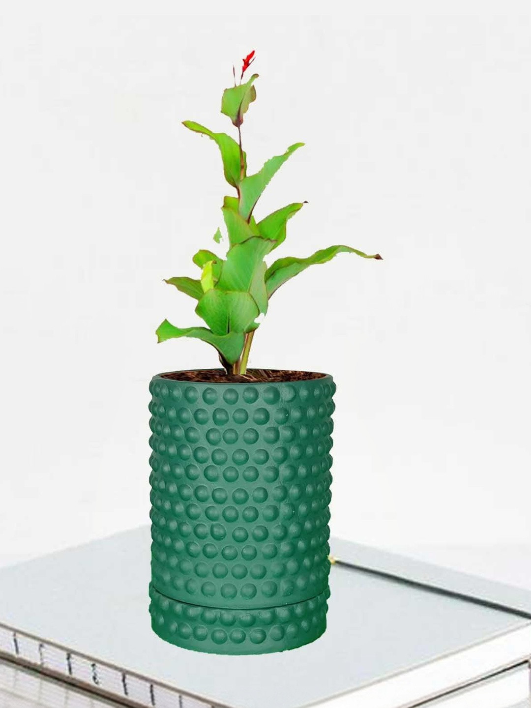 LASAKI Bubble Green Ceramic Handmade Large Planter With Plate