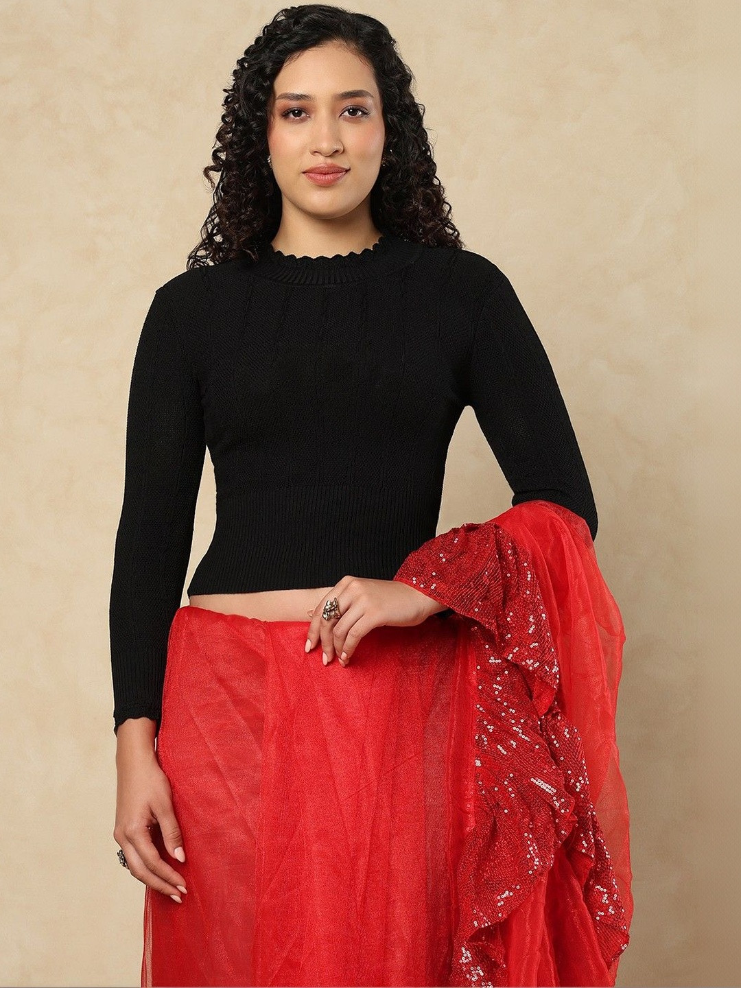 SALWAR STUDIO Women Turtle Neck Full sleeves Stretchable Saree Blouse