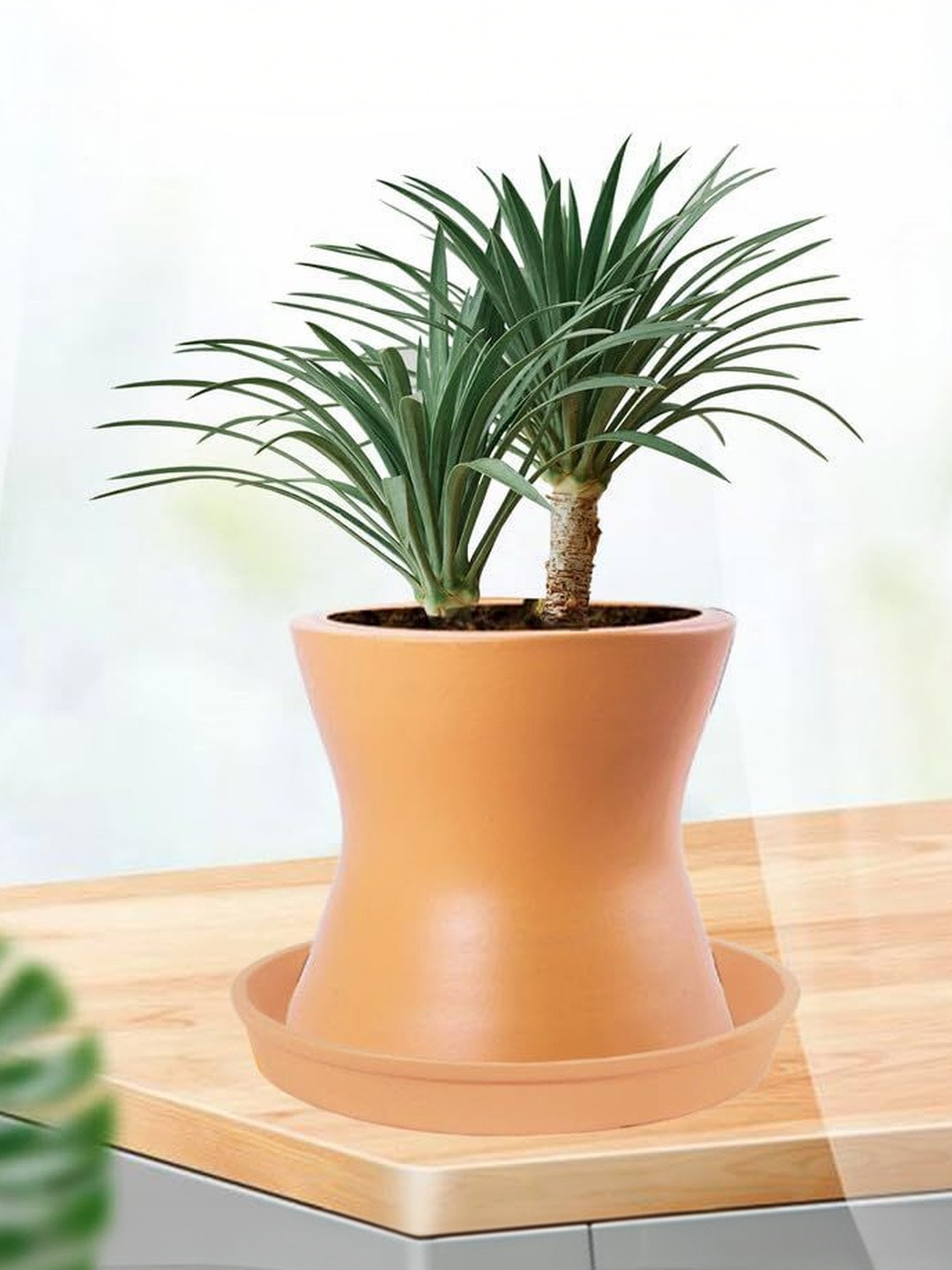 LASAKI Peach-Coloured Ceramic Durable Durable Planter With Plate