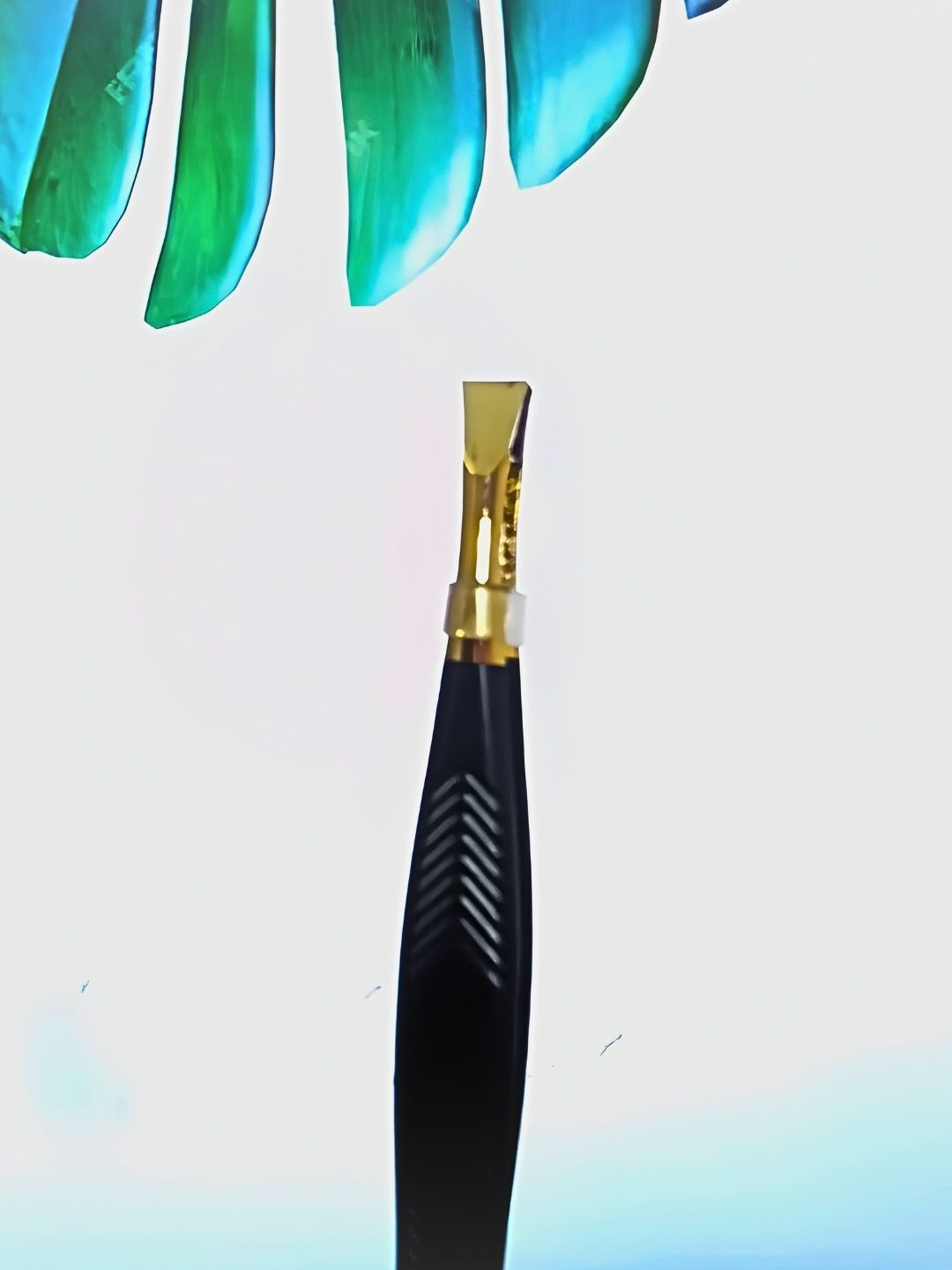 KOLORUP BEAUTY Slant Tip Tweezer & Plucker