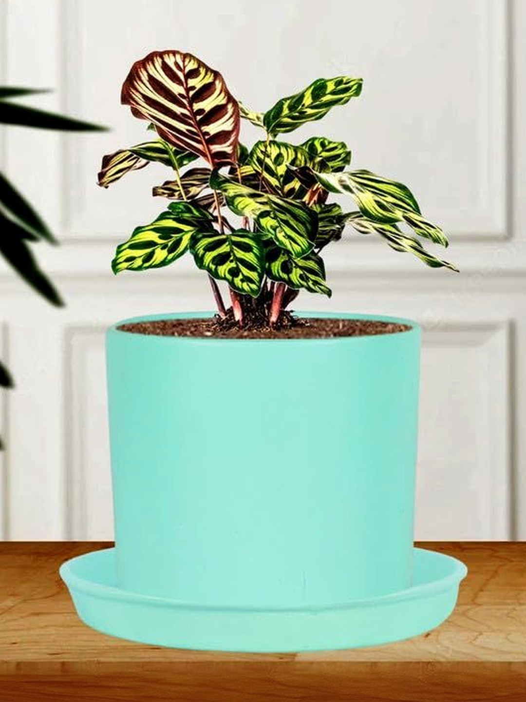 LASAKI Sara Blue Textured Ceramic Durable Planter With Plate