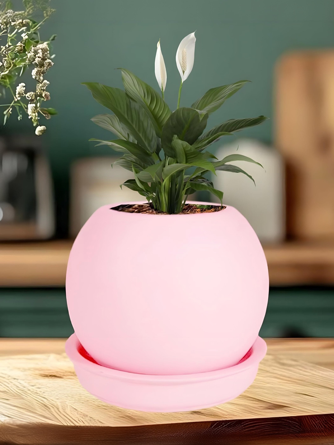 LASAKI Peblo Pink Ceramic Handmade Small Planter With Plate