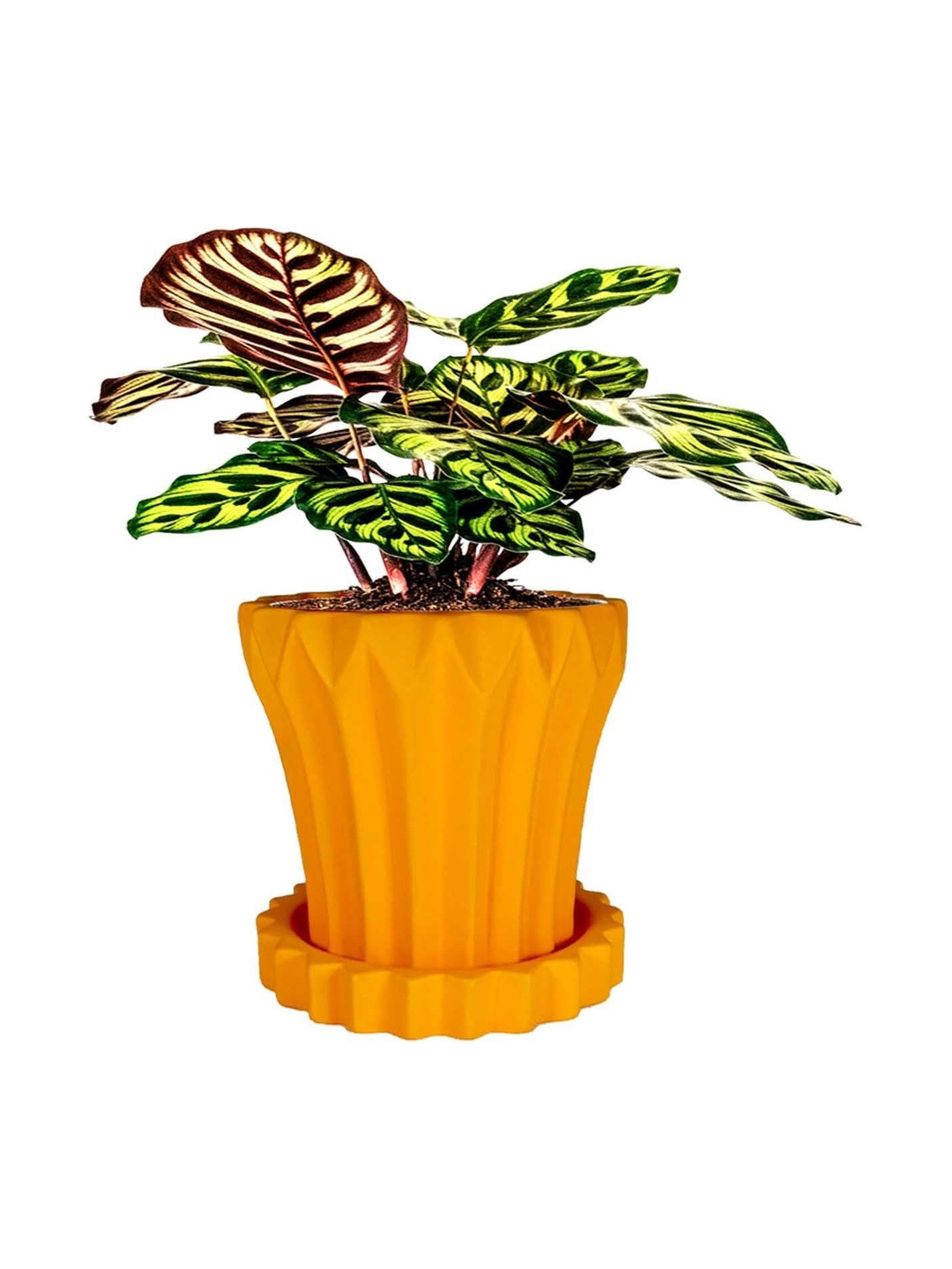 LASAKI Flory Orange-Colored Textured Ceramic Planter With Plate