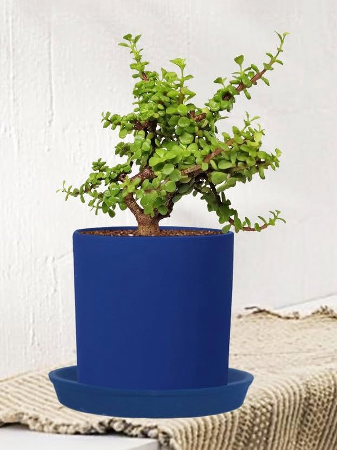 LASAKI Sara Blue Textured Ceramic Durable Planter With Plate