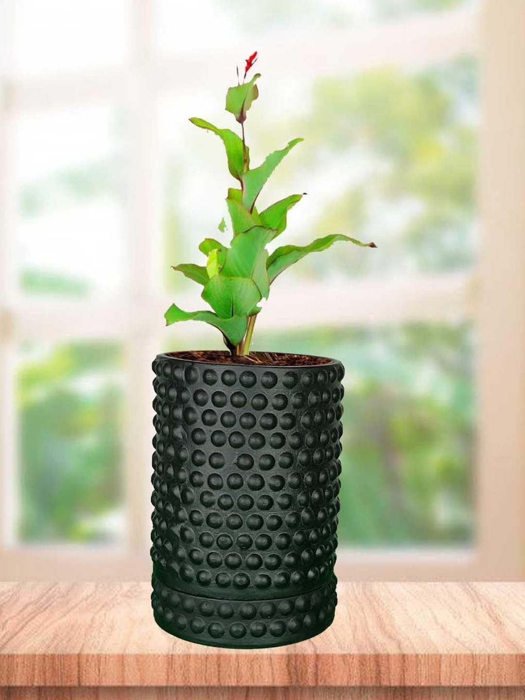 LASAKI Bubble Black Ceramic Handmade Large Planter With Plate