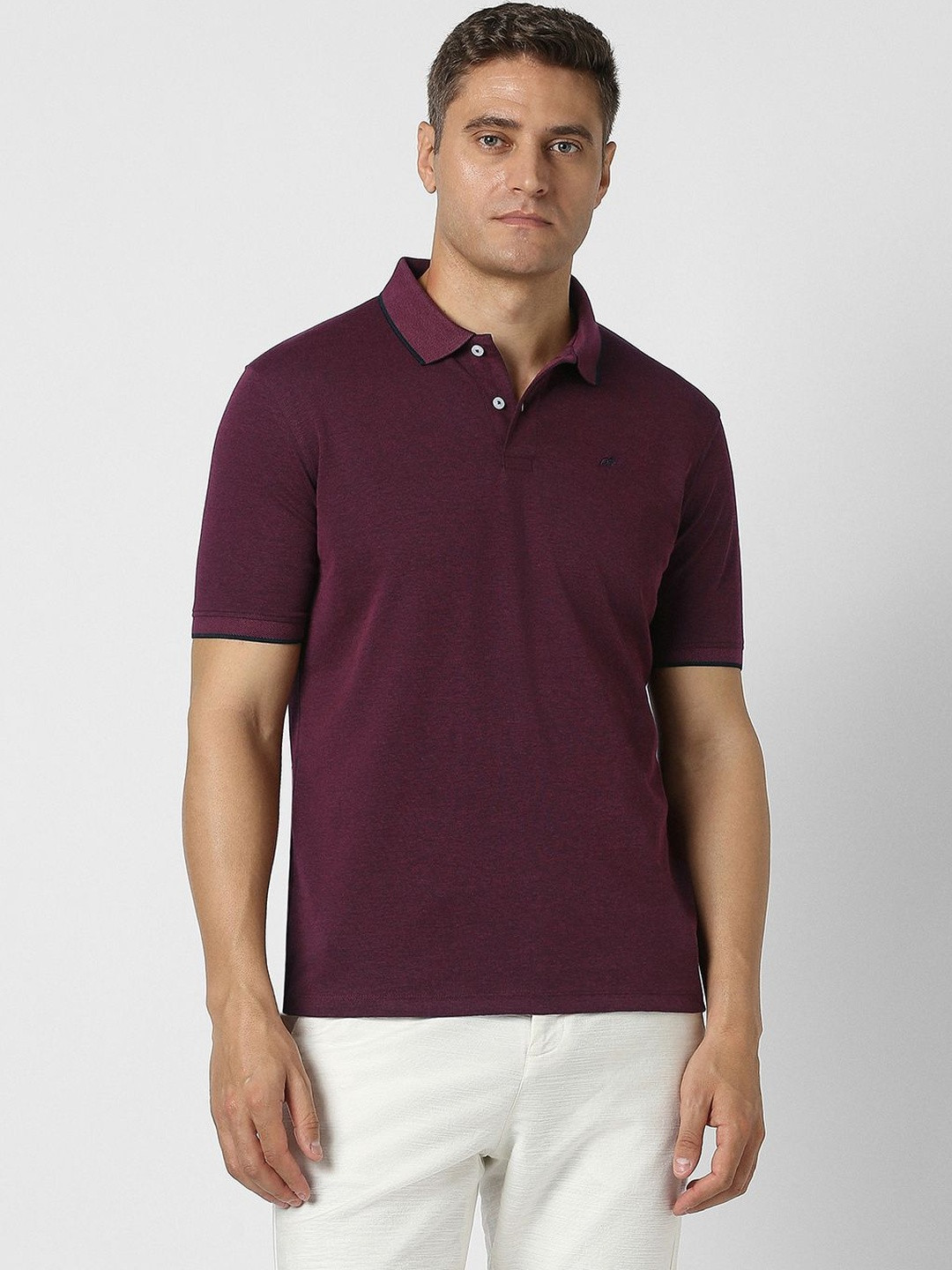 Peter England Men Polo Collar T-shirt