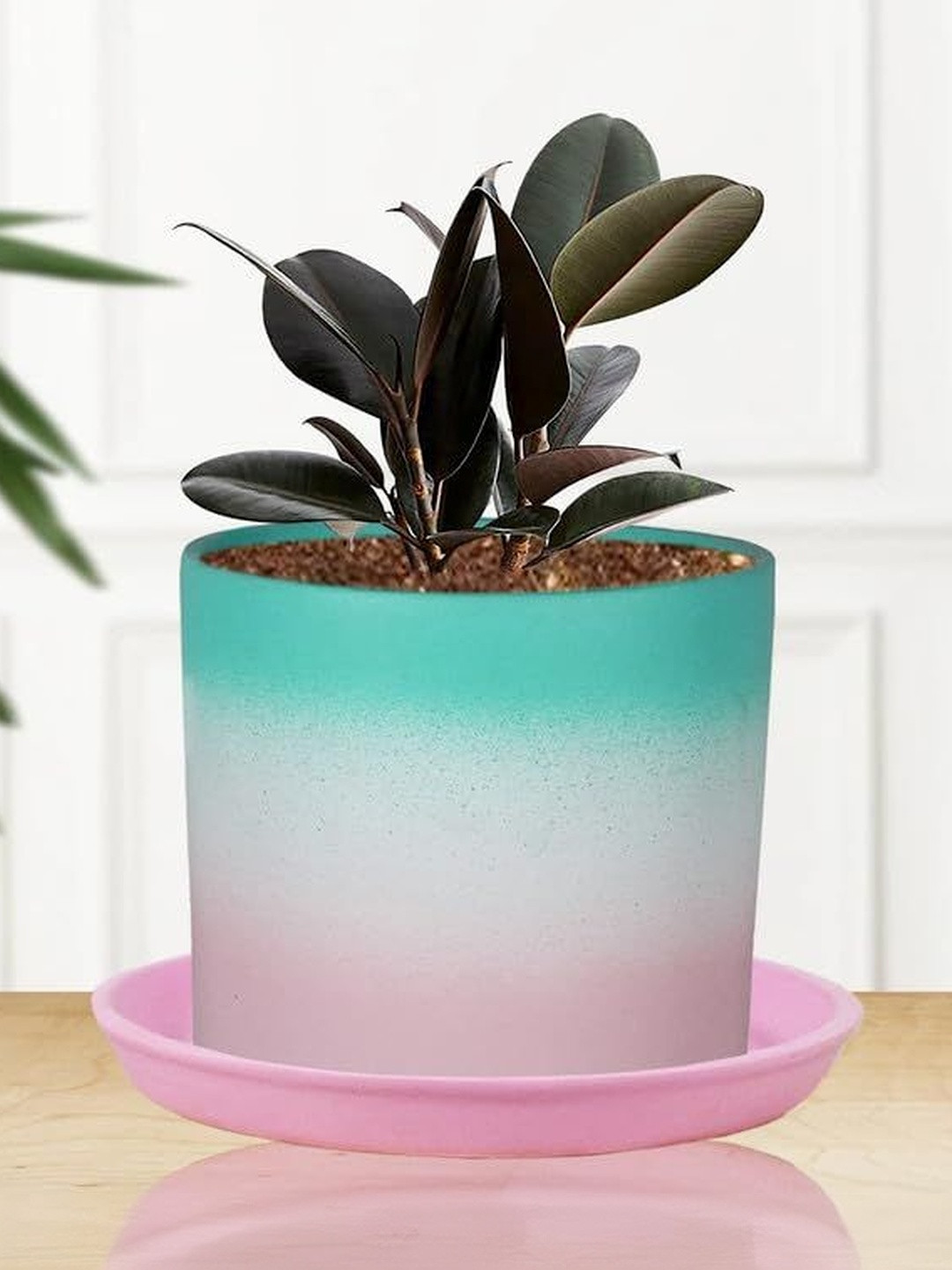 LASAKI Sara White & Green Color-Blocked Ceramic Planter With Plate