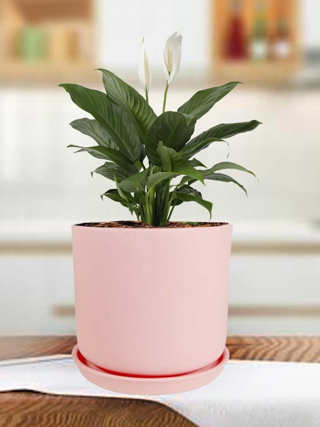 LASAKI Orin Pink Ceramic Handmade Planter With Plate