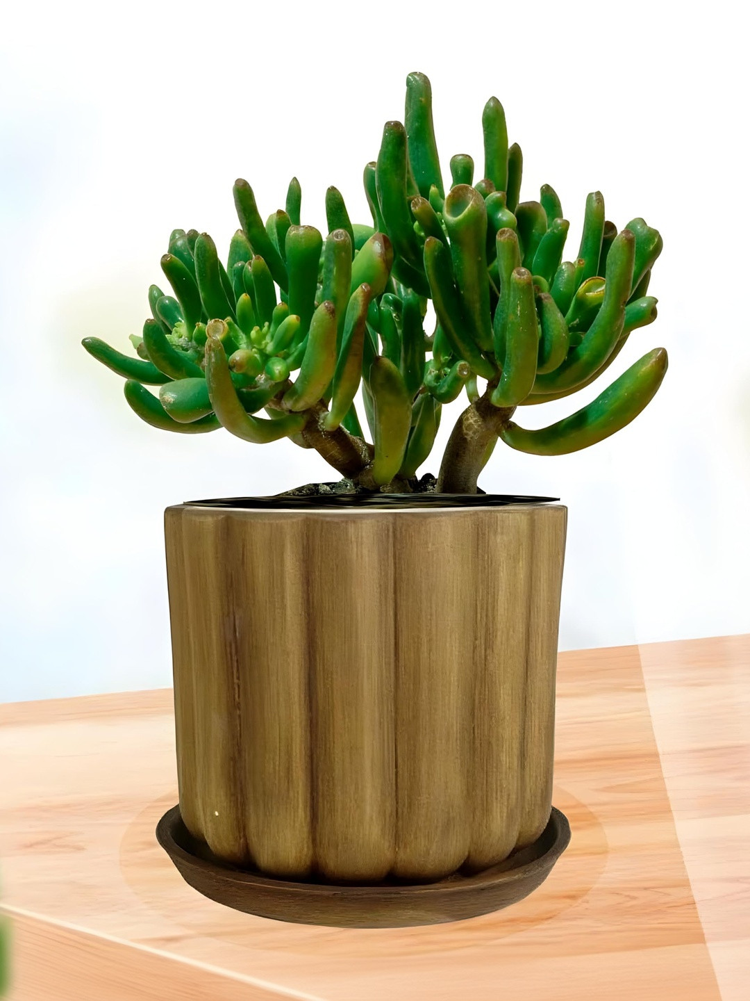 LASAKI Flona Brown Ceramic Handmade Antique Planter With Plate