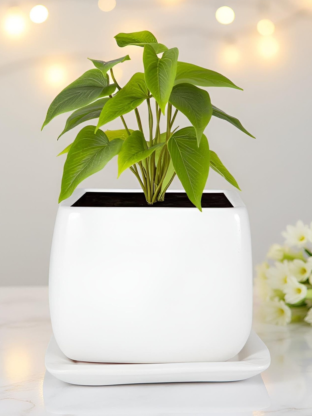 LASAKI Nebi White Ceramic Planter With Plate
