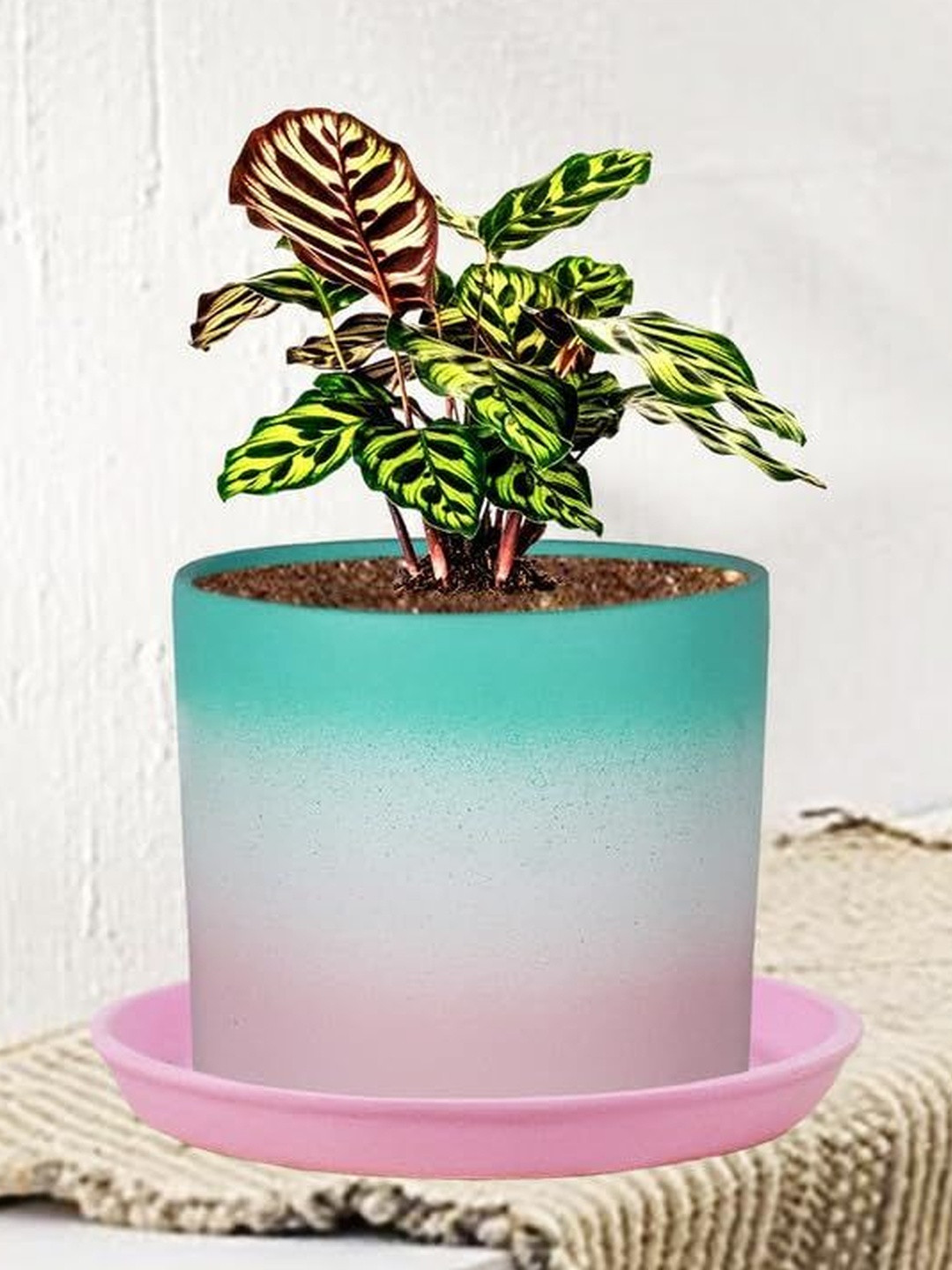 LASAKI Sara White & Green Color-Blocked Ceramic Handmade Planter With Plate