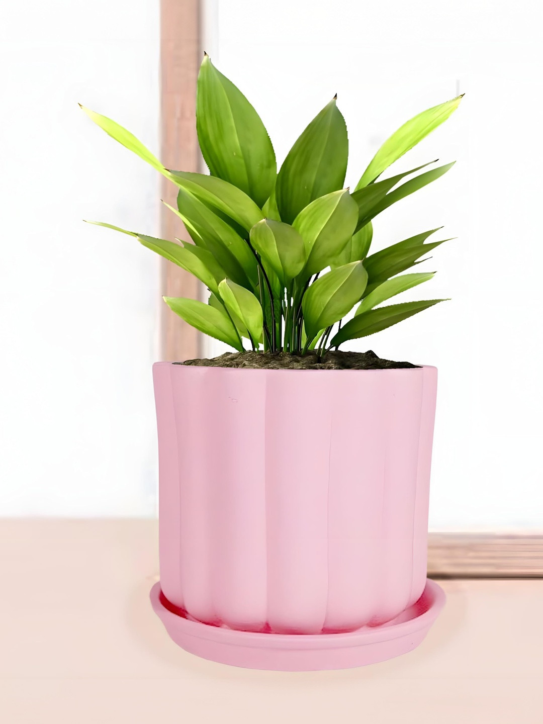 LASAKI lona Pink Ceramic Handmade Planter With Plate