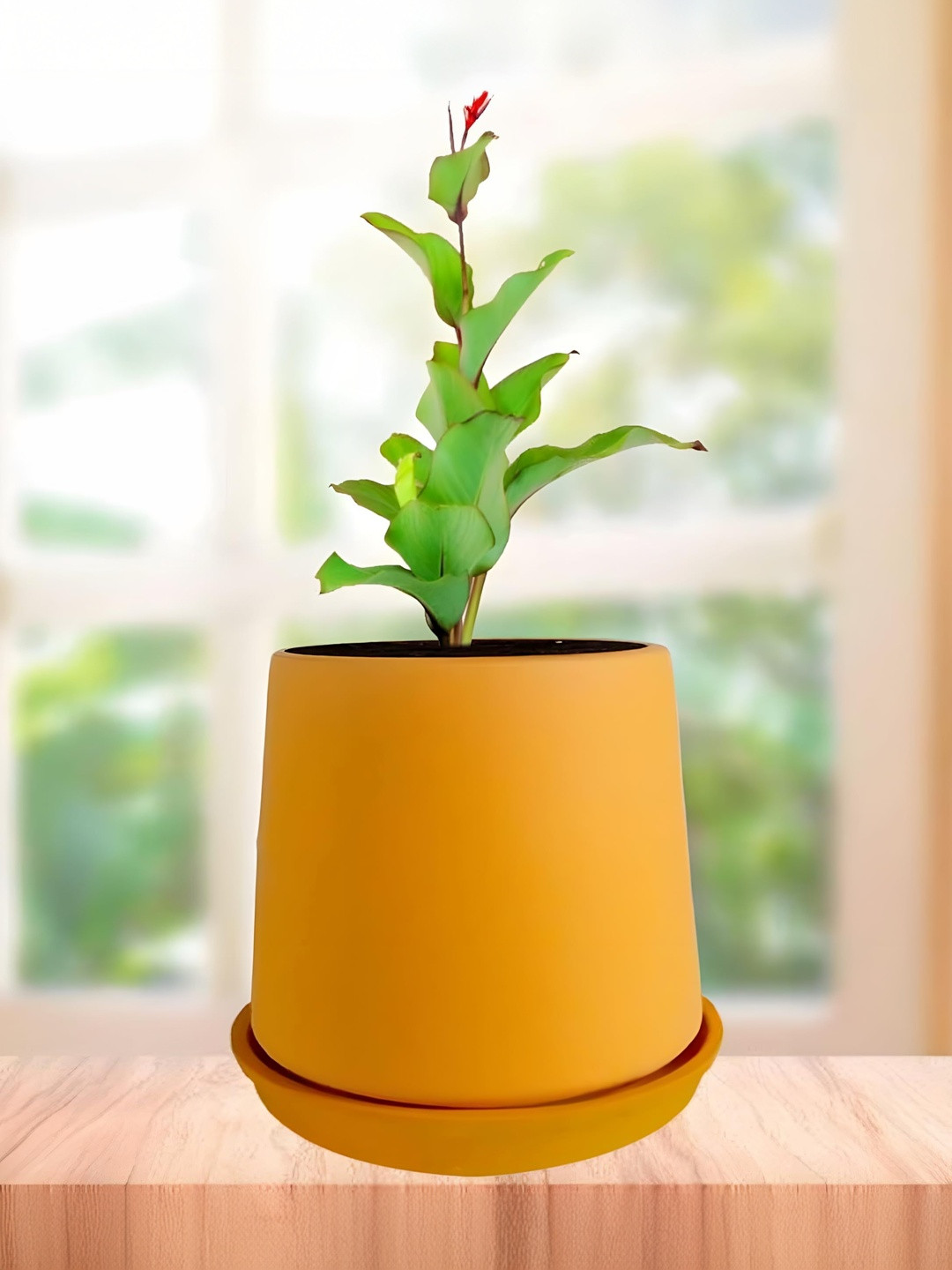 LASAKI Clara Orange-Colored Ceramic Handmade Planter With Plate