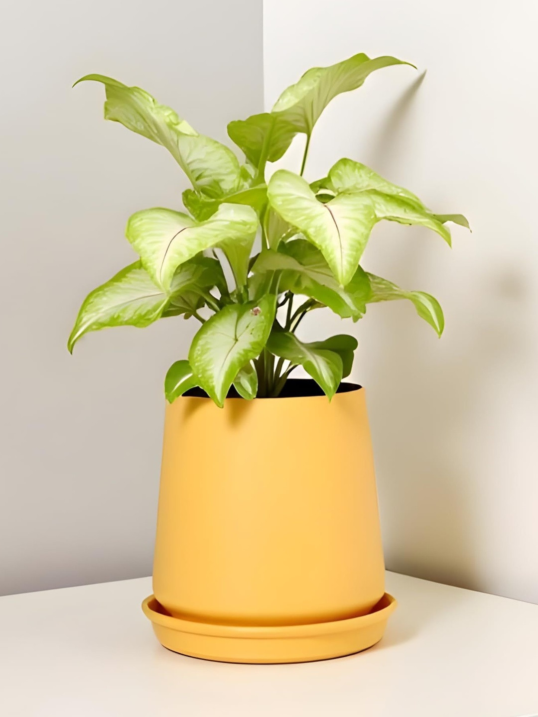 LASAKI Clara Yellow Ceramic Handmade Planter With Plate