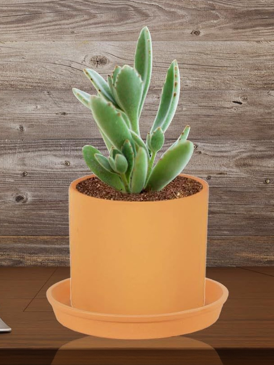 LASAKI Sara Brown Ceramic Planter With Plate