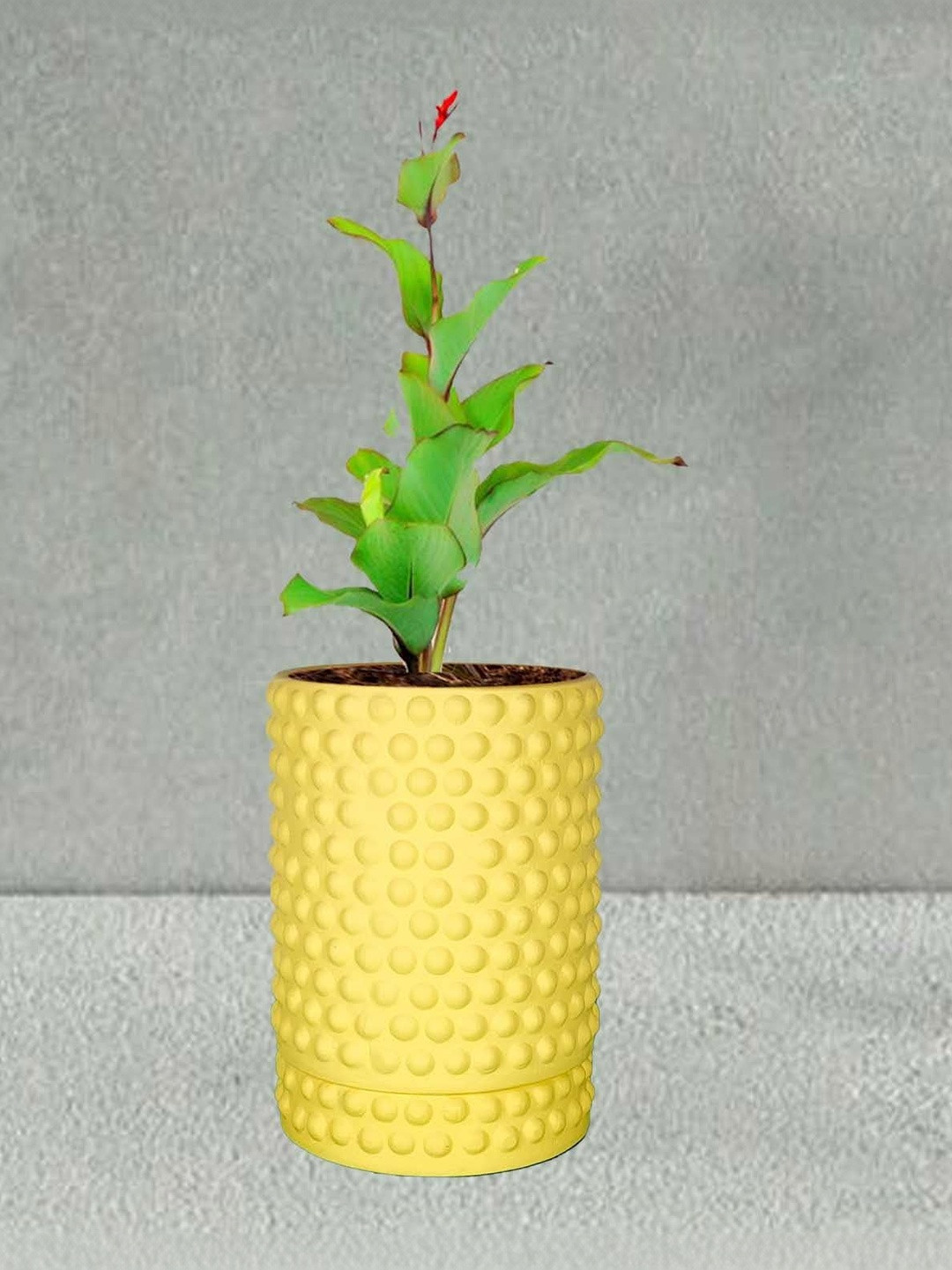 LASAKI Bubble Yellow Ceramic Handmade Large Planter With Plate